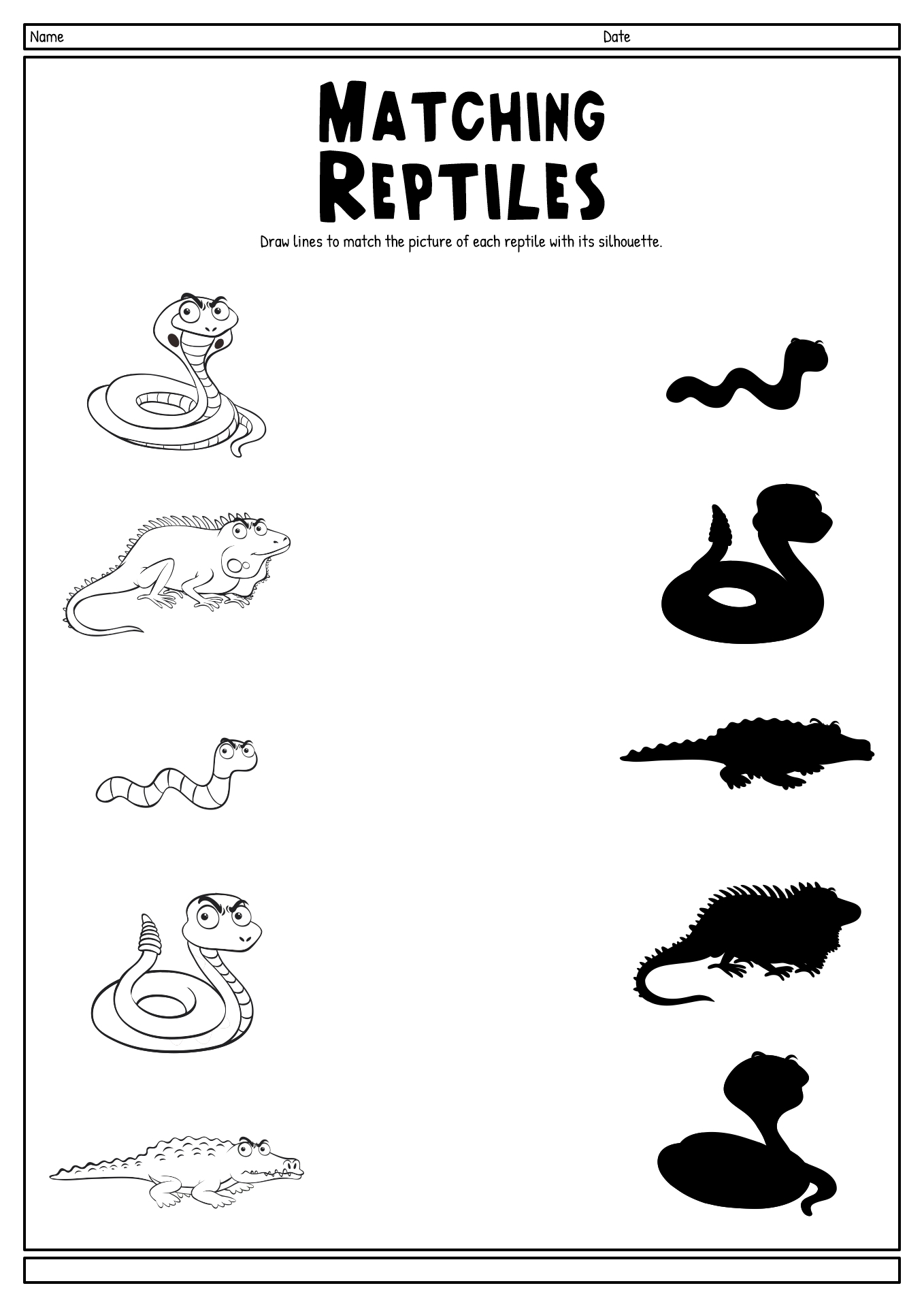 11 Amphibian Worksheets For Kindergarten Free PDF At Worksheeto