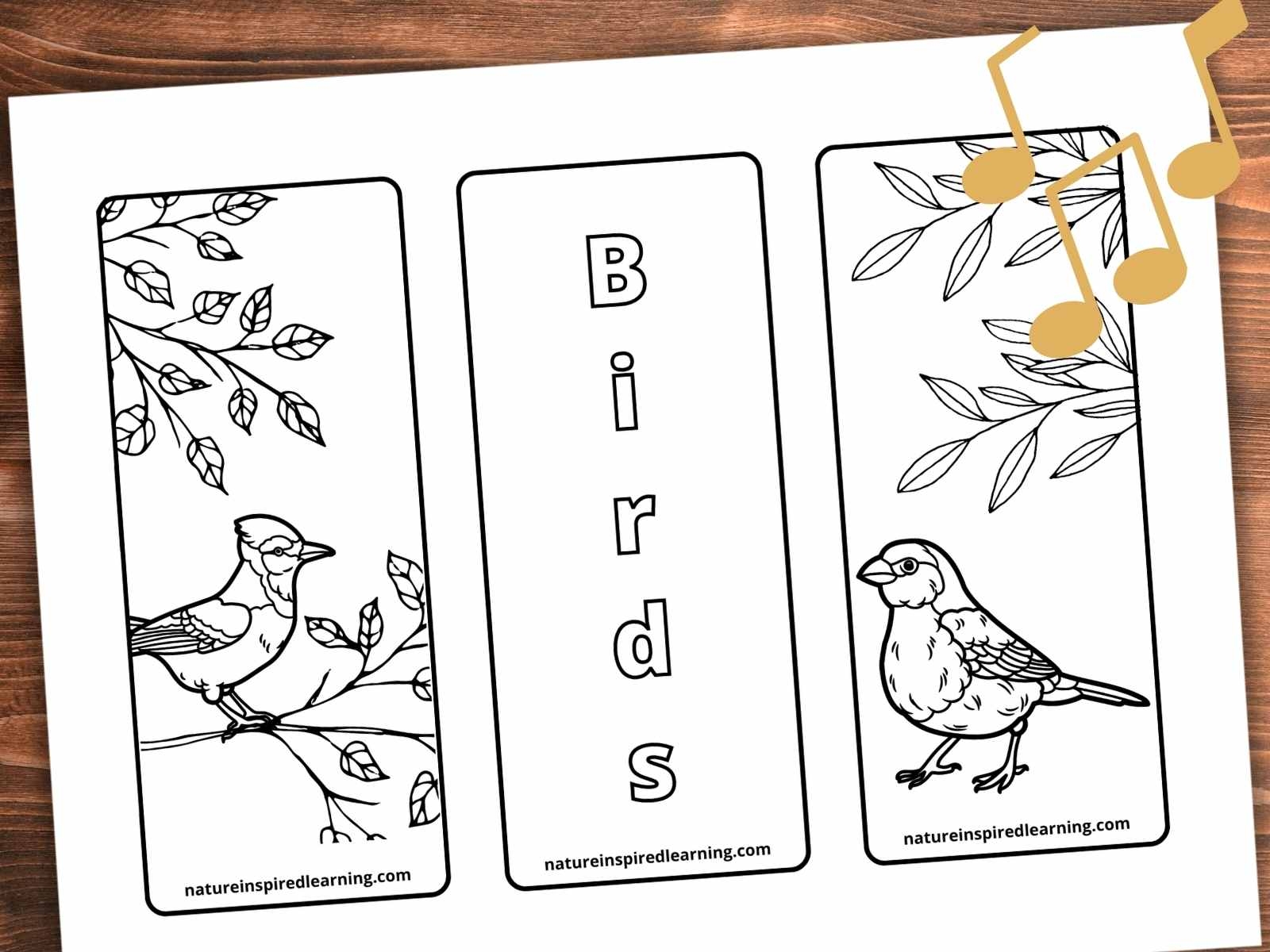 14 Children s Books About Birds Nature Inspired Learning