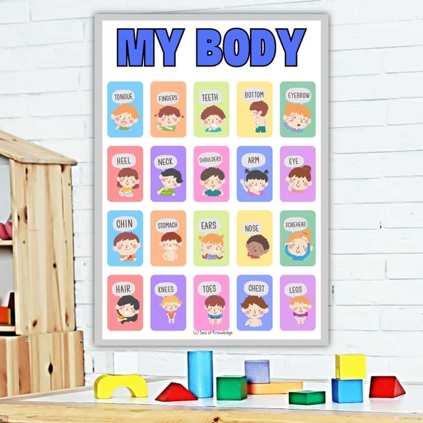 15 Fun Body Parts Activities For Preschoolers Including Labeling 