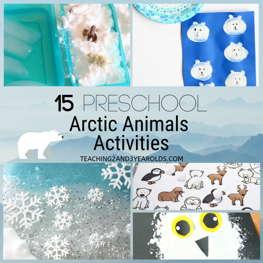 15 Of The Best Preschool Arctic Animals Activities