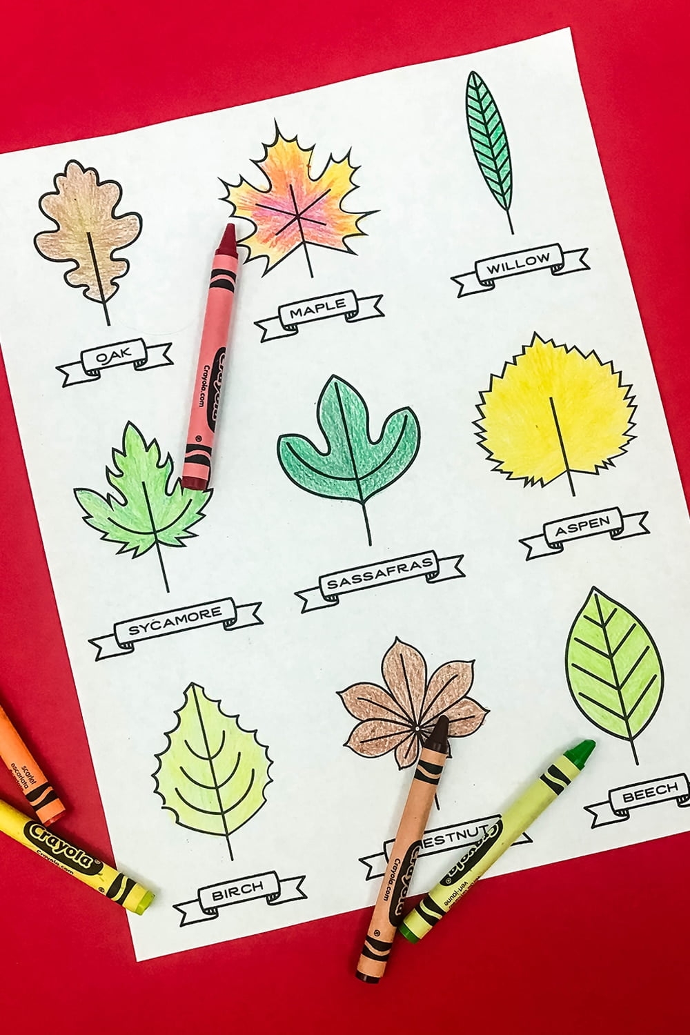 15 Paper Leaf Crafts For Kids With A Free Printable