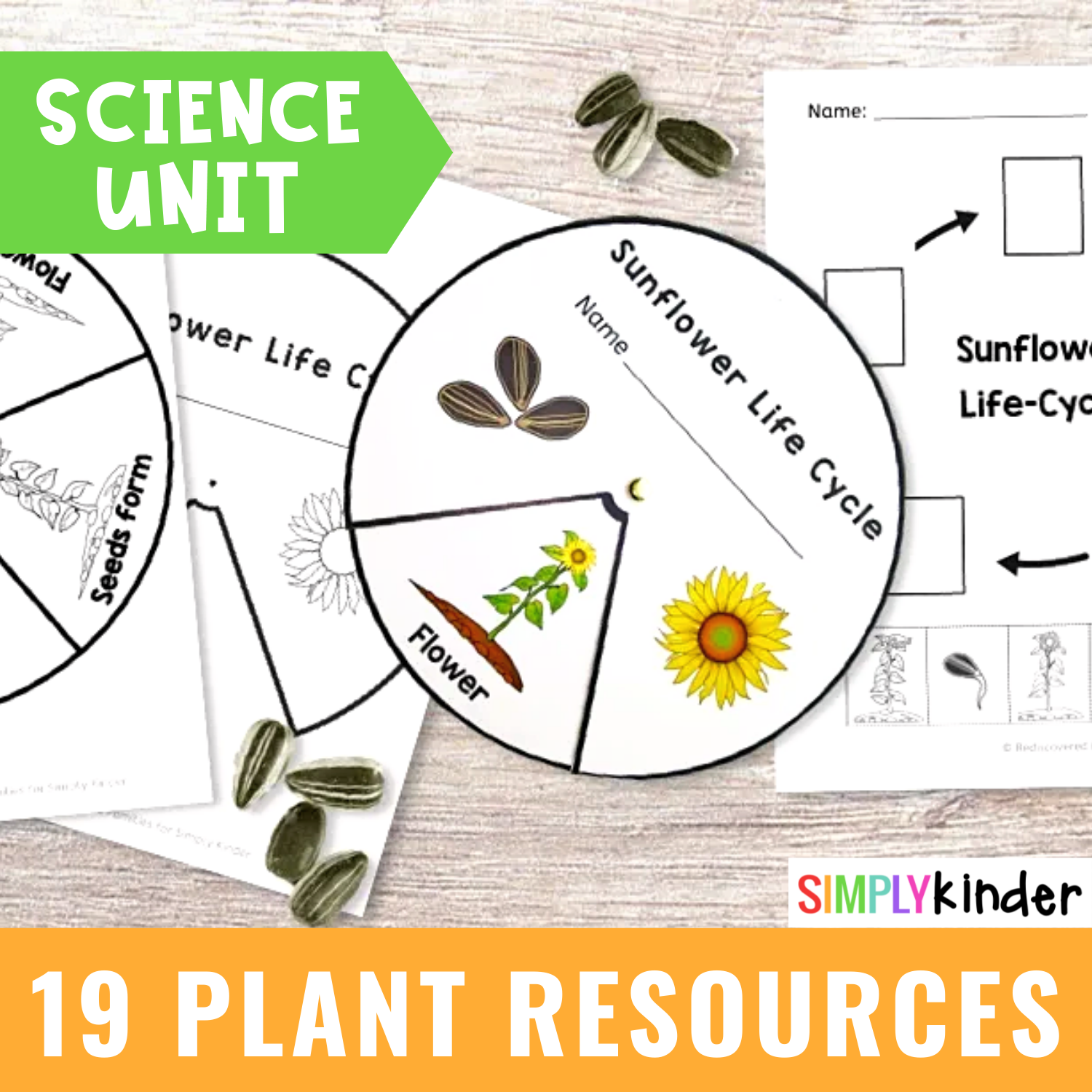 Printable Plant Activities For Preschool