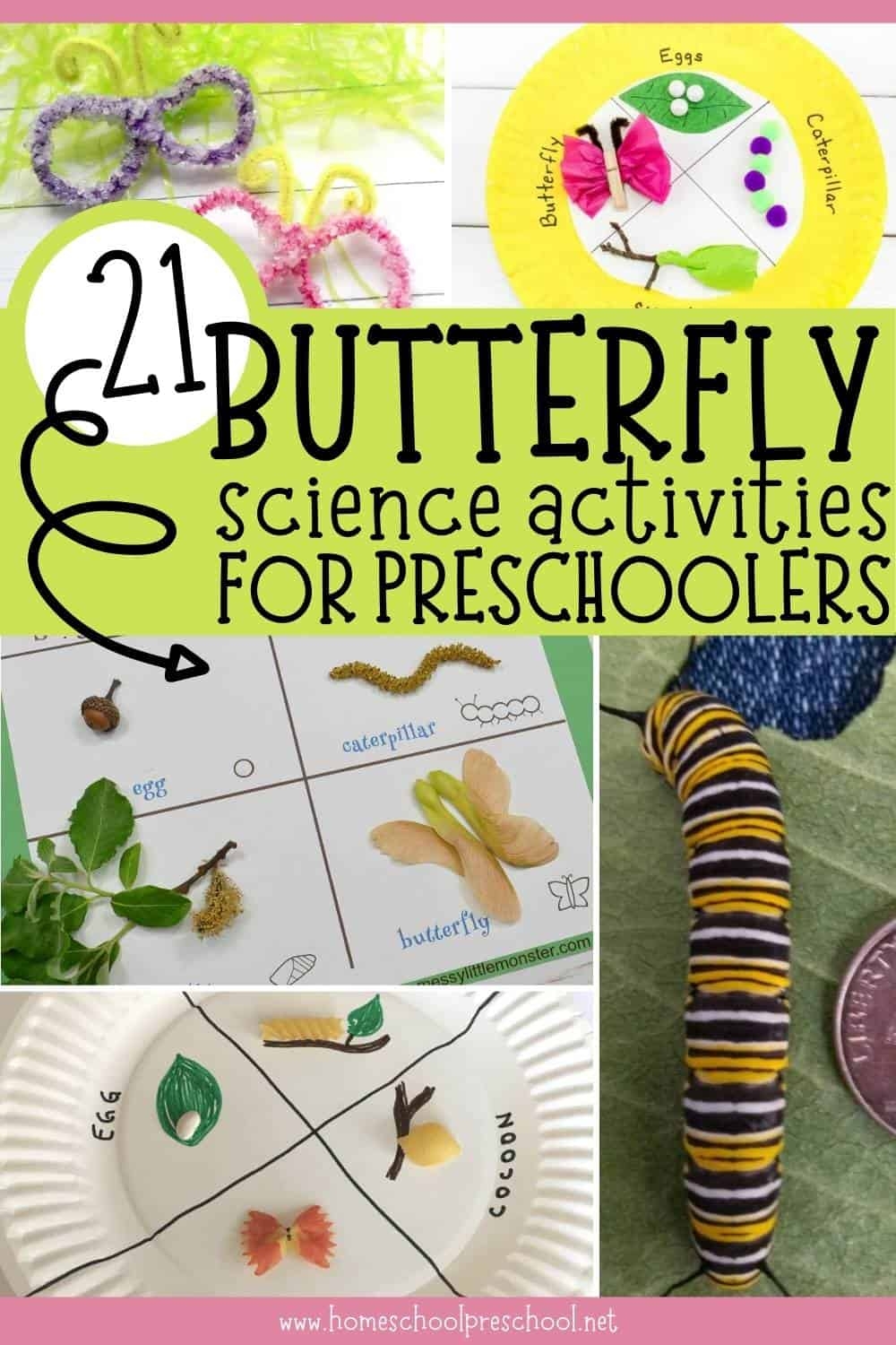 21 Butterfly Science Activities For Preschoolers Homeschool Preschool