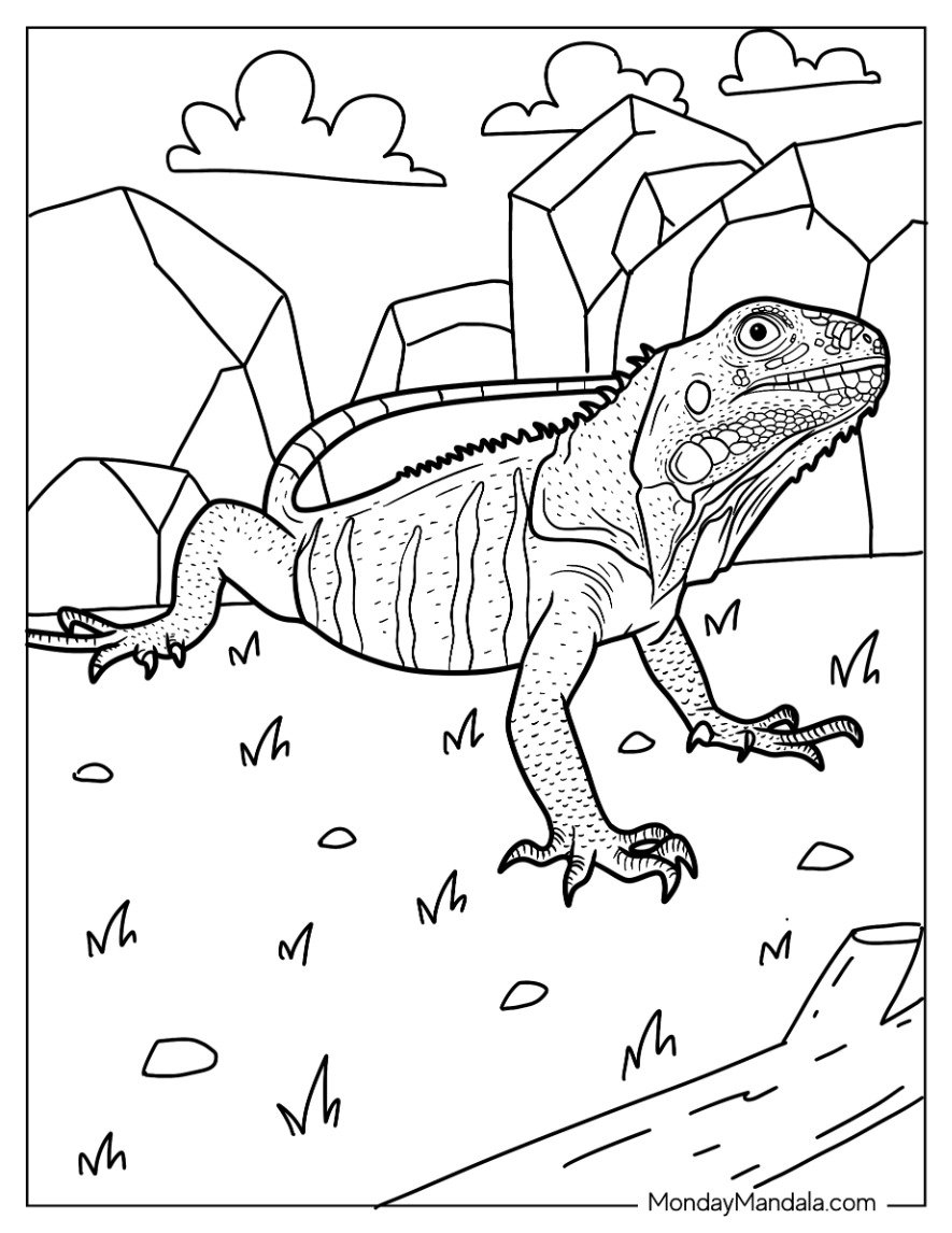 24 Lizard Coloring Pages Free PDF Printables 