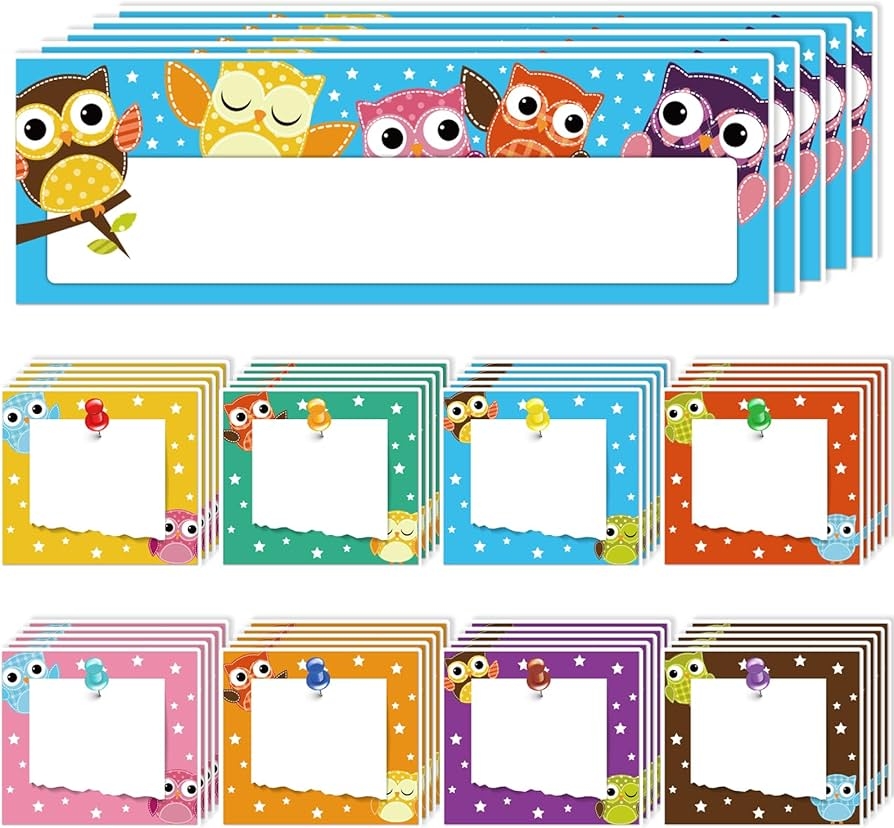 45Pcs Colorful Owls Name Tags Labels Cutouts With 100Pcs Glue Points Desk Toppers Name Plates Back To School Bulletin Board Decor For DIY Classroom
