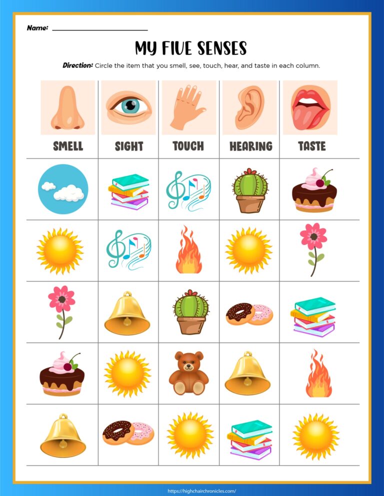 5 Senses Worksheets For Preschool And Kindergarten Free Printable High Chair Chronicles