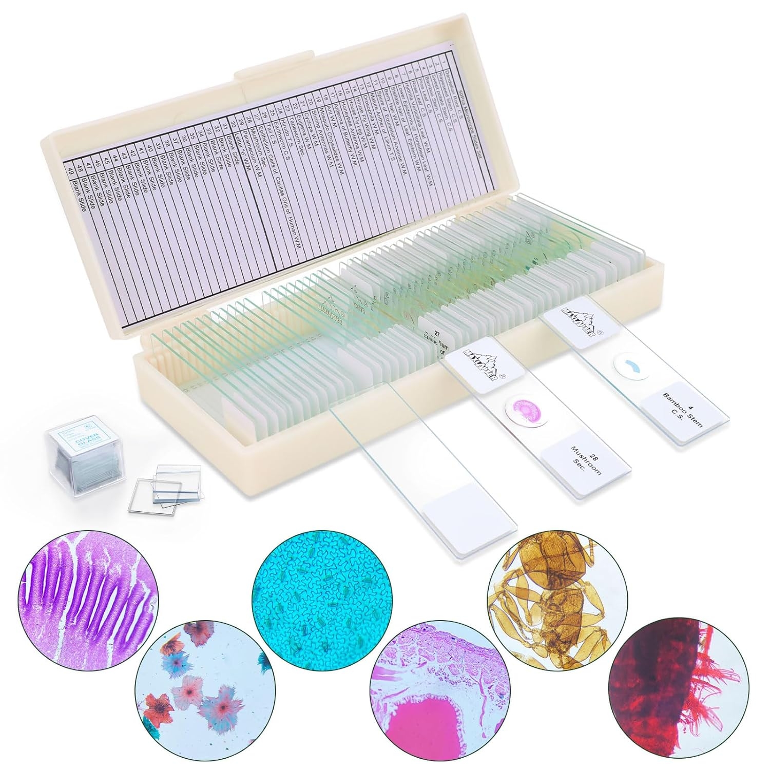 50 Microscope Slides And 100 Covers Set For Kids Rwanda Ubuy