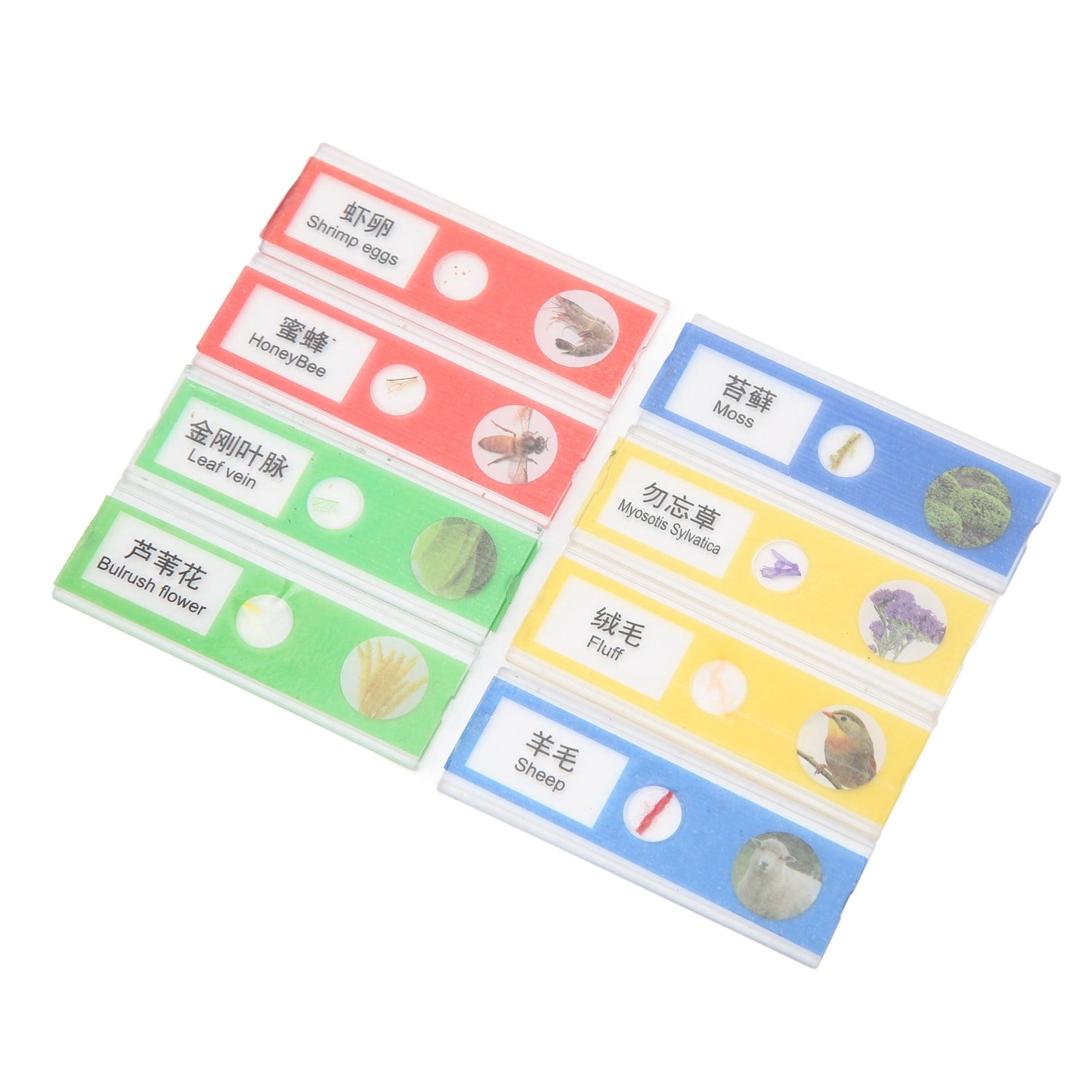 8Pcs Kids Microscope Specimen Slides Insects Plants Educational Prepared Microscope Slides For Home School Walmart ca