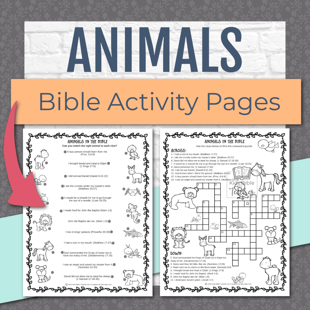 Animals In The Bible Activity Pages Kids Bible Teacher