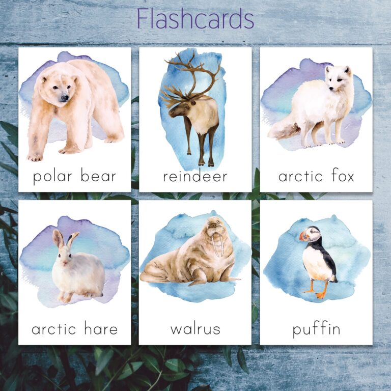 Arctic Animals Montessori Printable North Pole Animals Toddler 