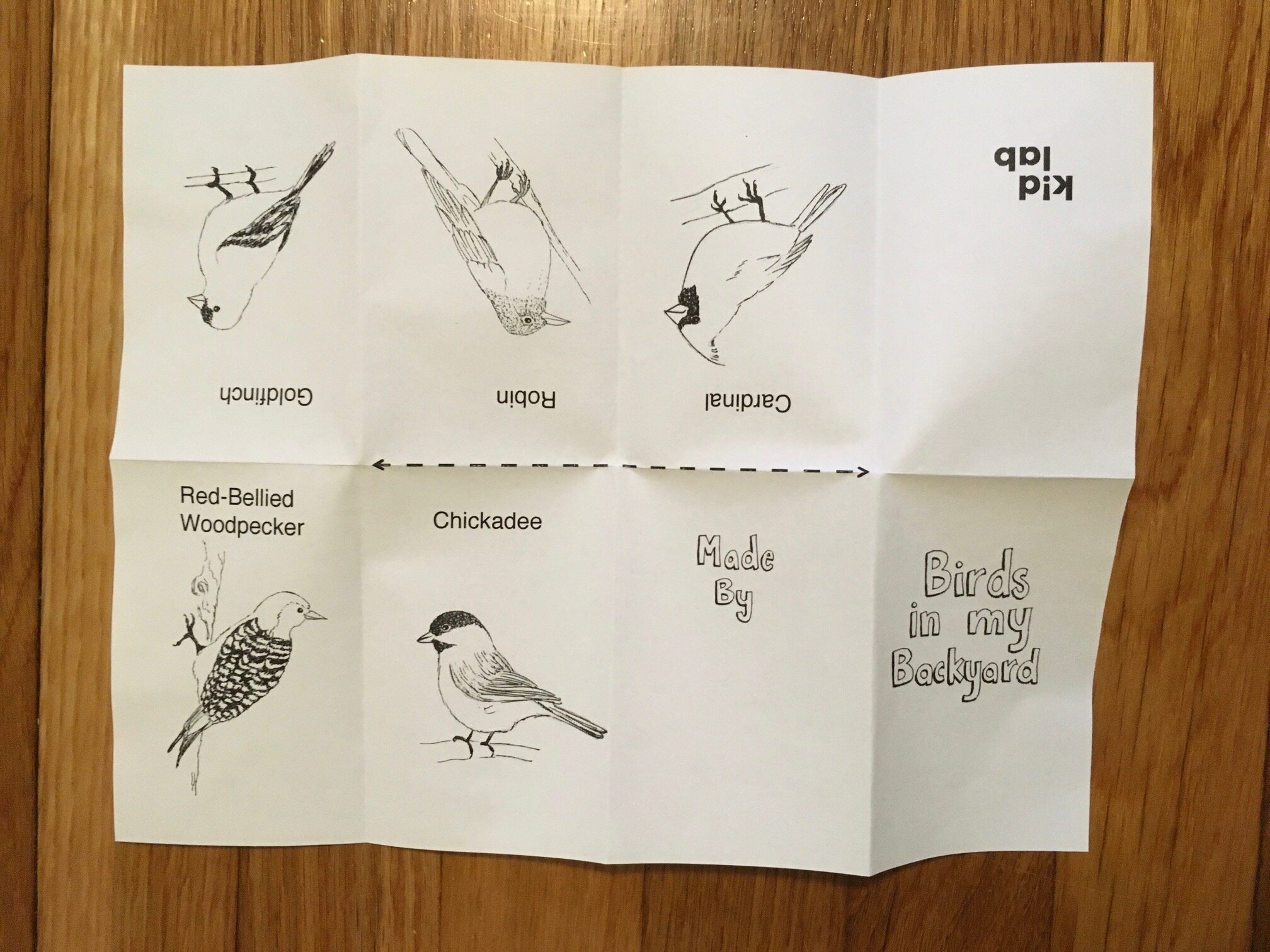 Birds In My Backyard FREE Printable Book Blog U0026 DIY Resources Kid Lab A Nonprofit Makerspace In Raleigh NC