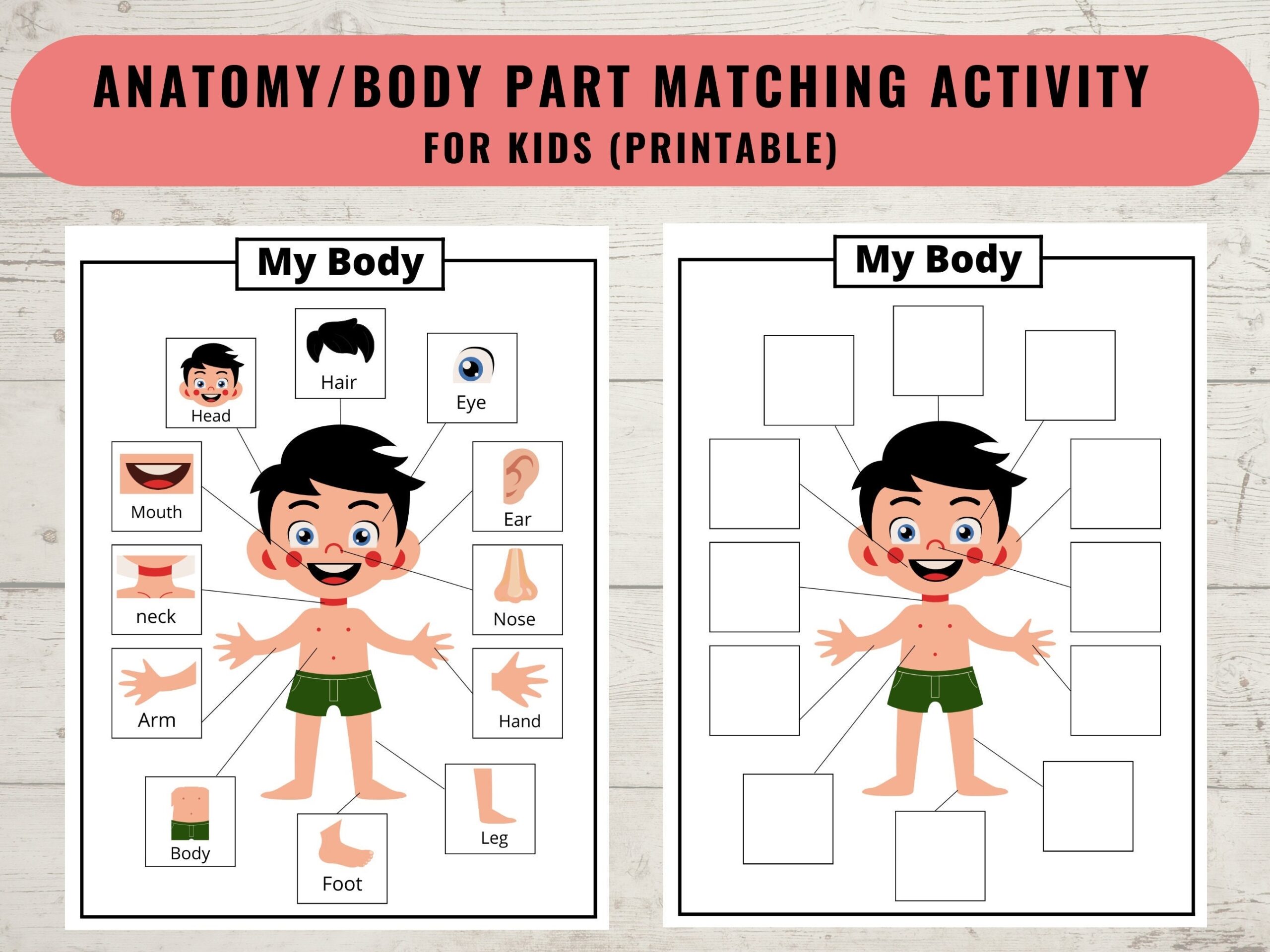 Printable Preschool Body Puzzle
