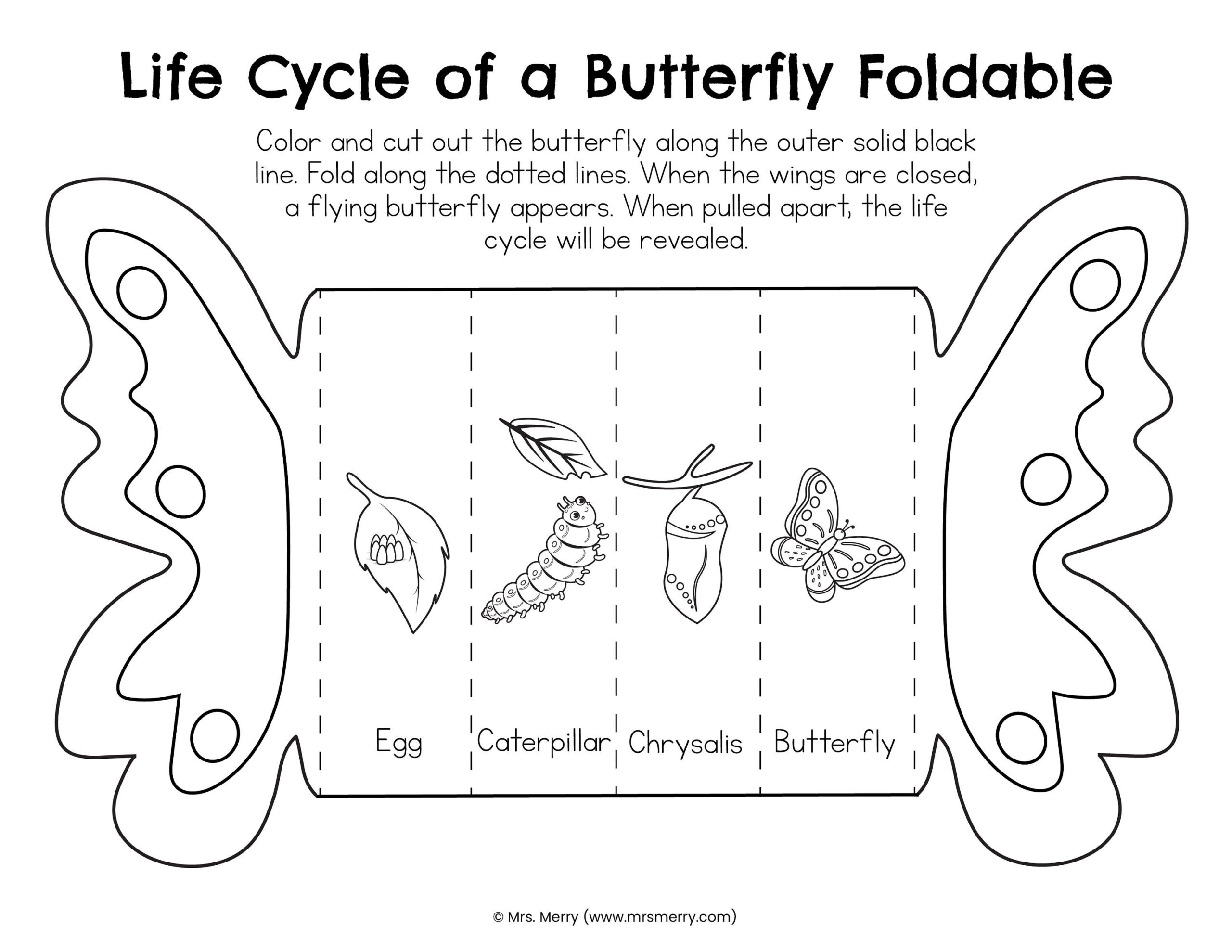 Buy Foldable Butterfly Life Cycle Printable Online In India Etsy
