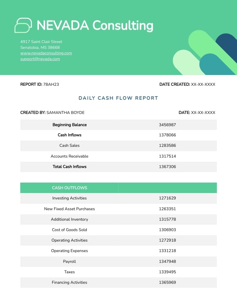 Daily Cash Flow Report Template Visme