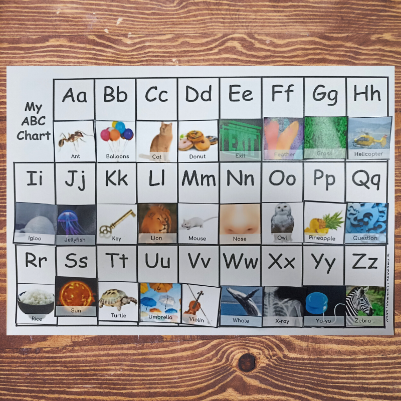 Editable Printable ABC Book And Chart Template My Alphabet Book