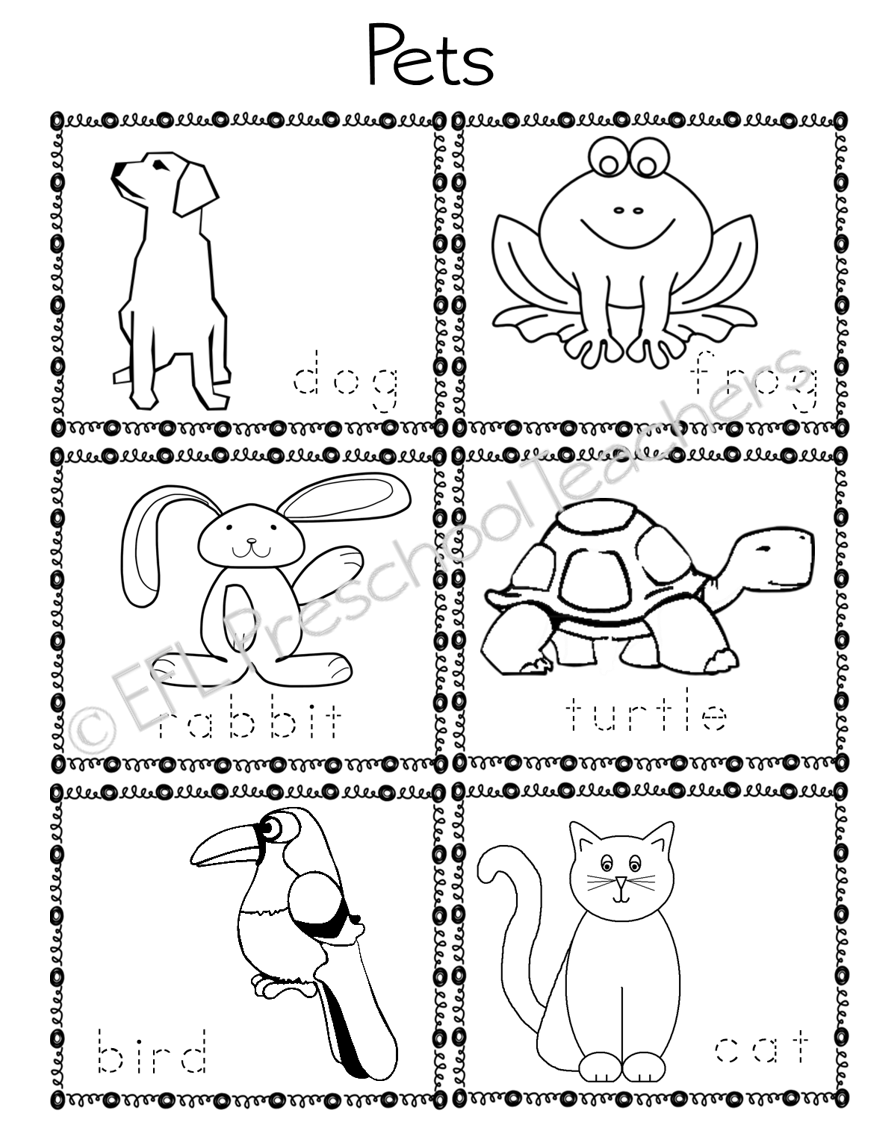 ESL EFL Preschool Teachers Pet Activities For Preschool ELL