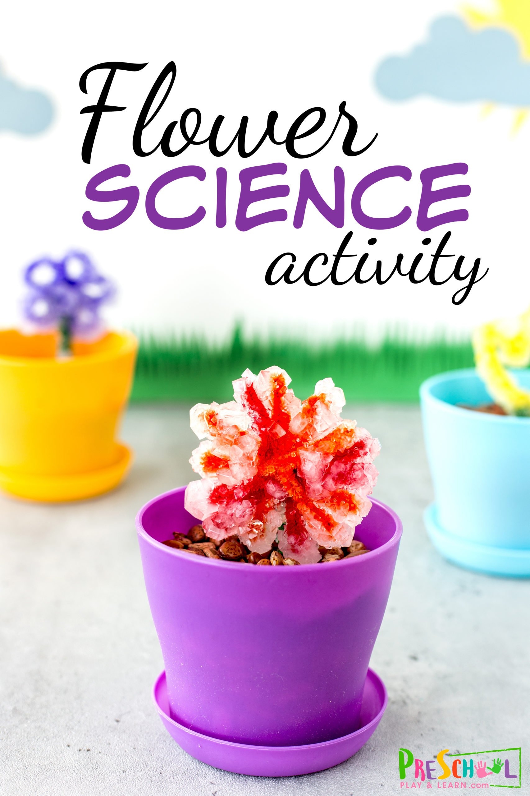  Flower Science Experiment For Preschoolers