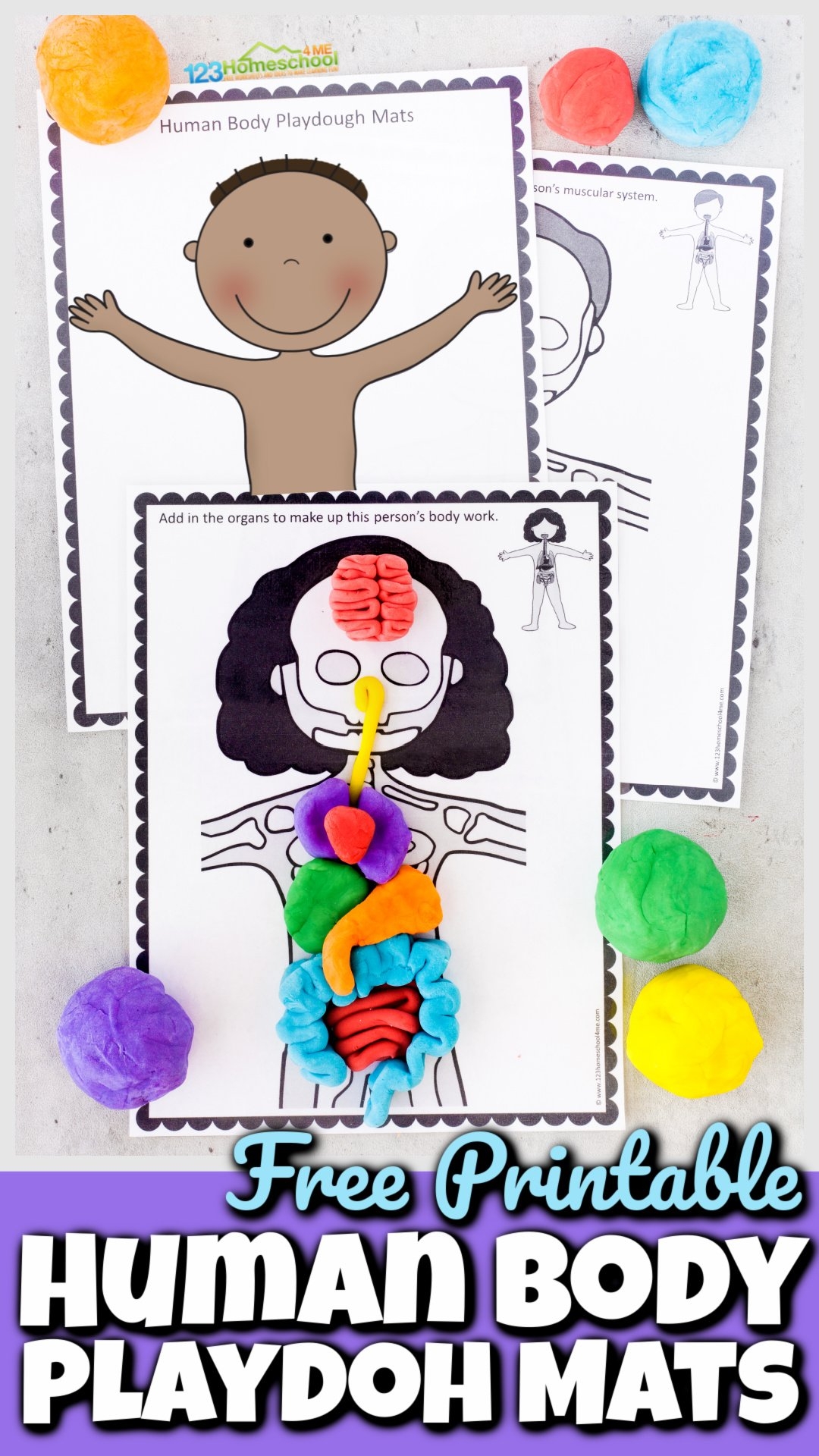 Printable Preschool Body Outline