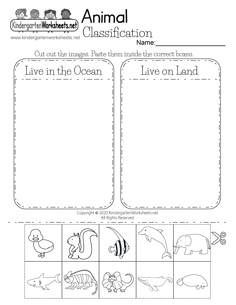 Printable Science Worksheet For Preschool