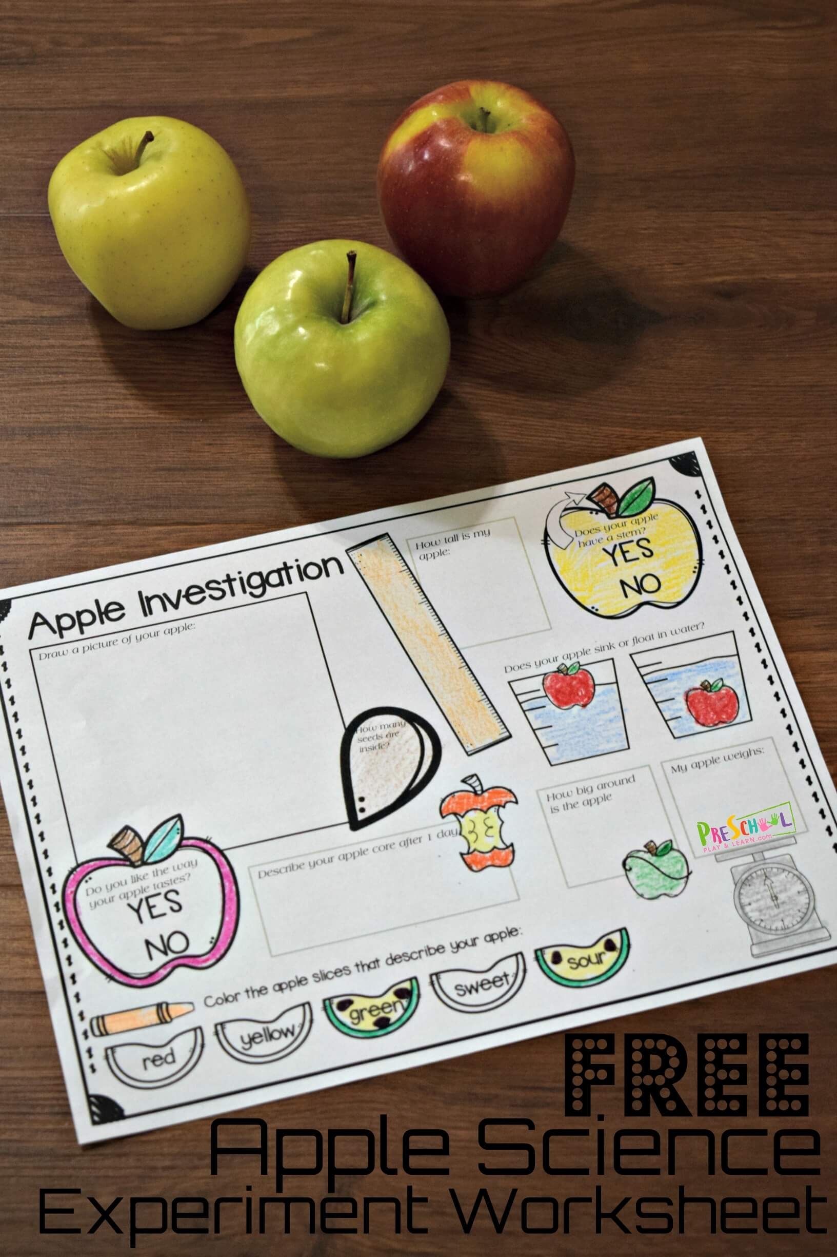 FREE Printable Apple Science Experiment Worksheet