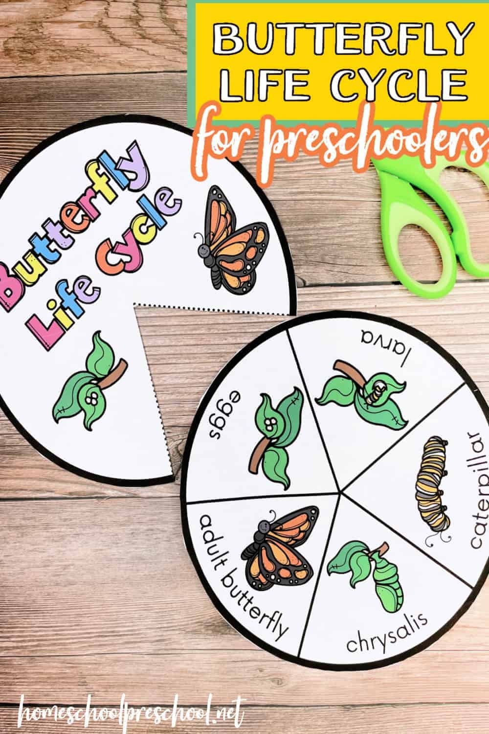 Printable Preschool Butterfly Life Cycle
