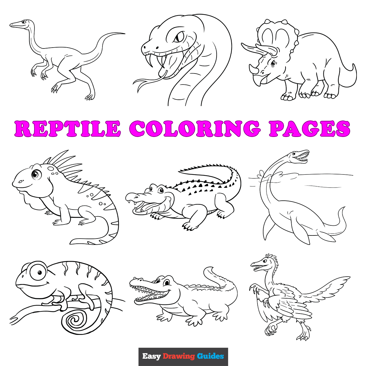 Printable Reptile Worksheets For Preschoolers