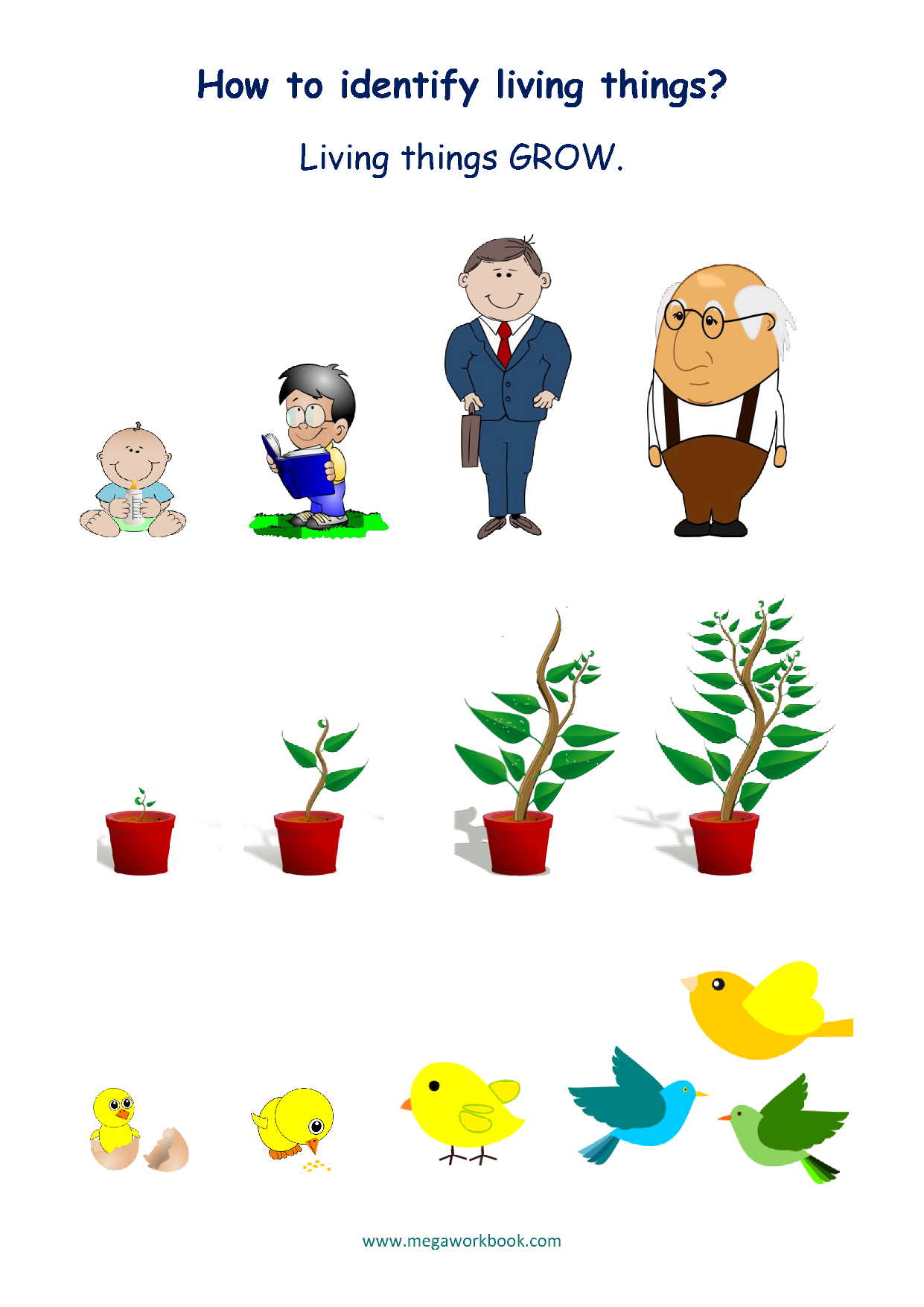 Printable Preschool Worksheet Living Nonliving