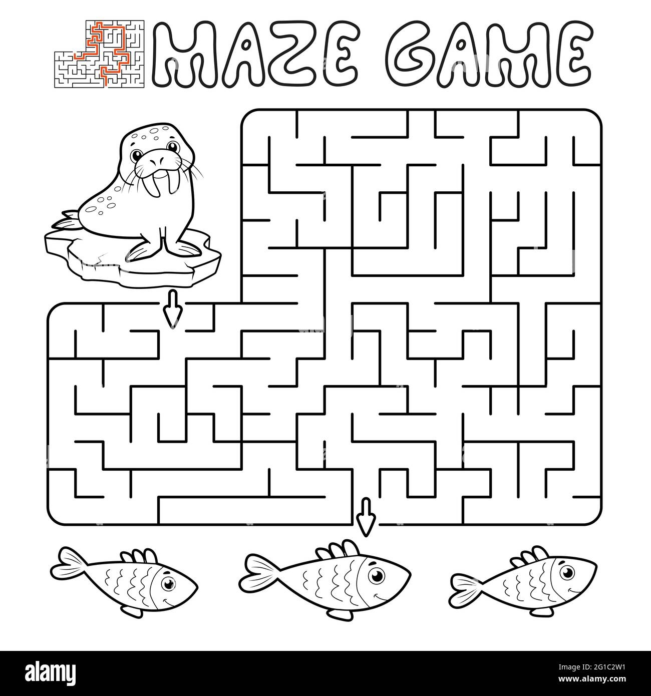 Maze Puzzle Game For Children Outline Maze Or Labyrinth Game With Walrus Vector Illustrations Stock Vector Image U0026 Art Alamy
