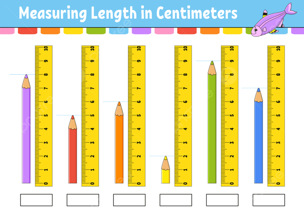 Printable Ruler 8 Inches Preschool Online