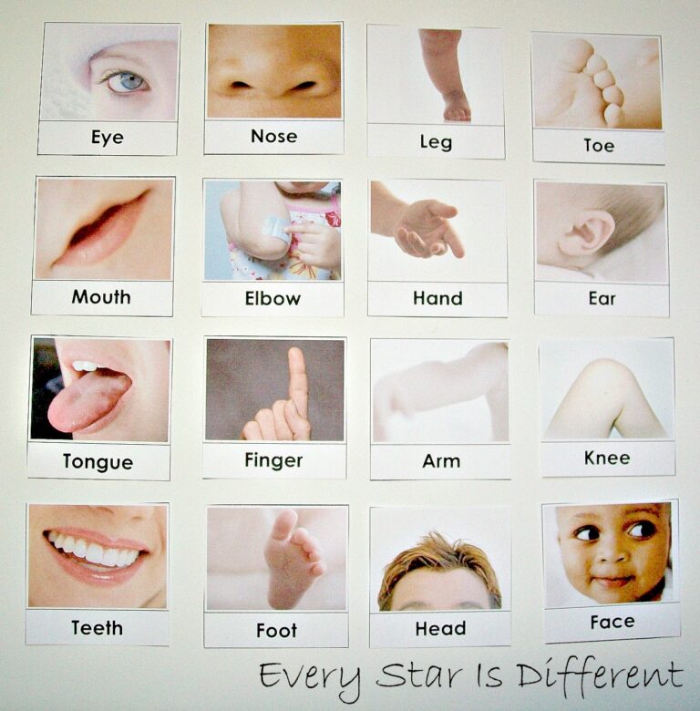 My Body Activities For Tots U0026 Preschoolers W Free Printables Every Star Is Different