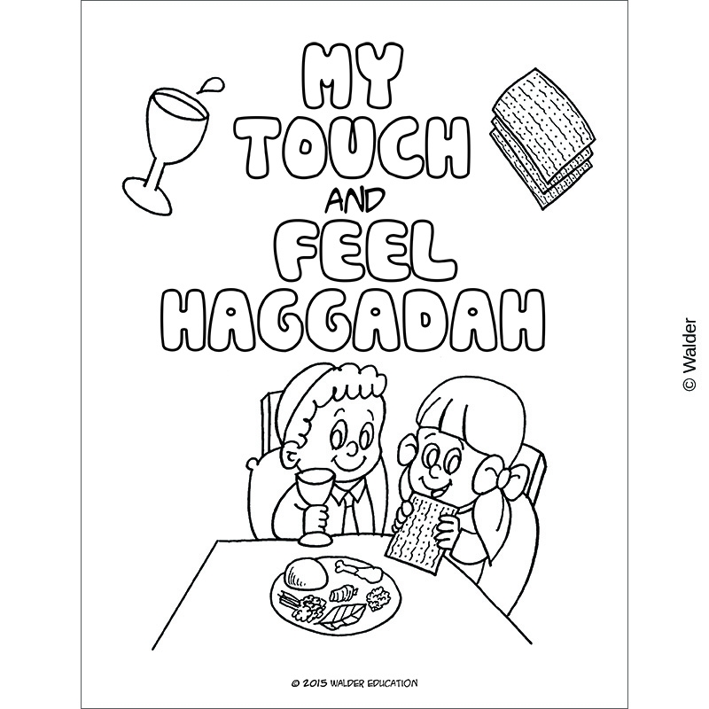 My Touch And Feel Haggadah Walder Education