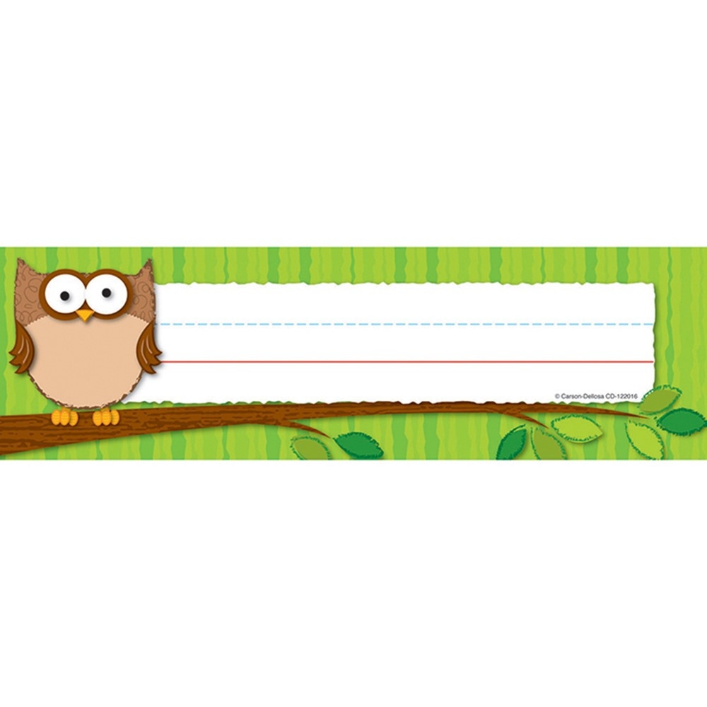 Owls Nameplates CD 122016 Carson Dellosa Education Name Plates