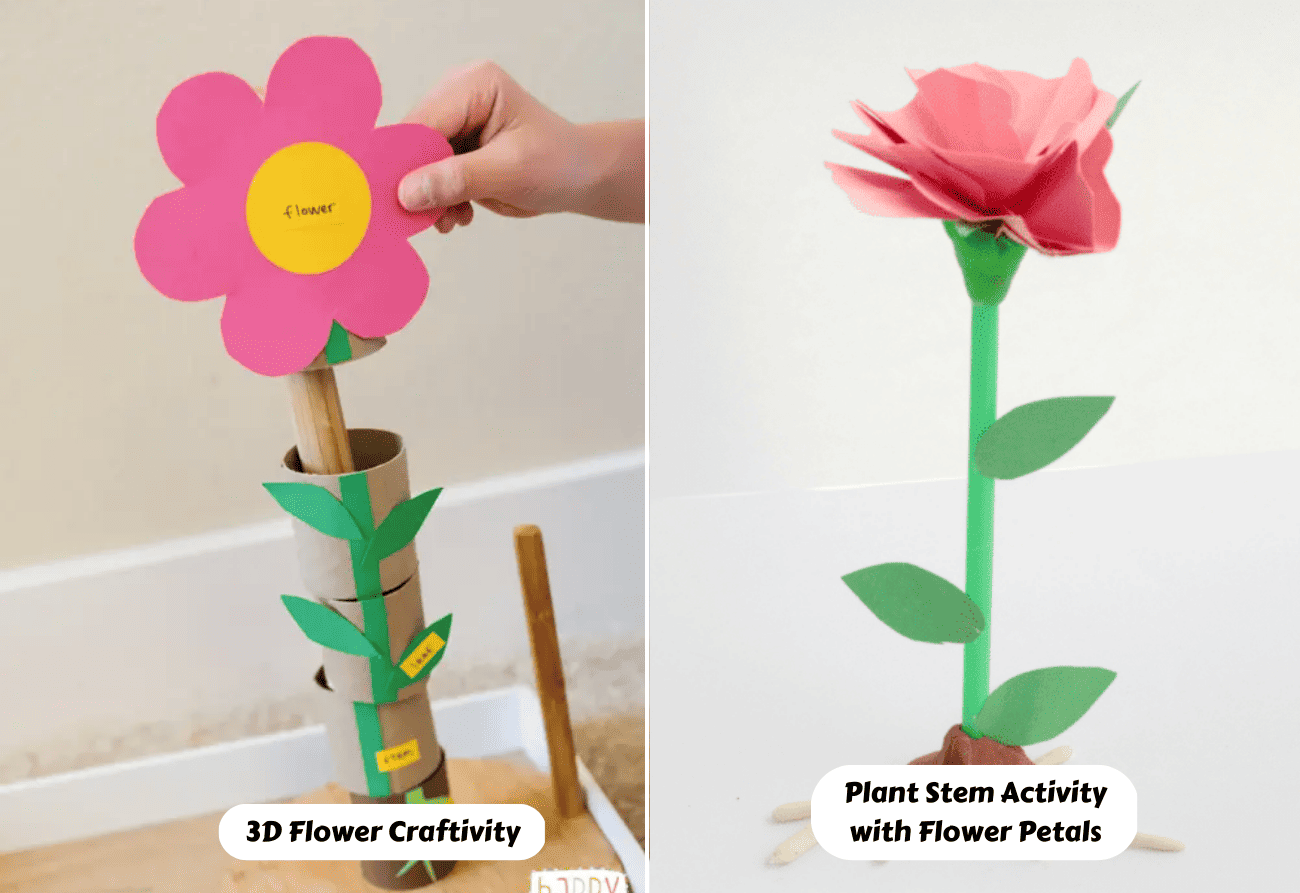 Parts Of A Plant Activities Ideas Crafts And Resources Teaching Expertise