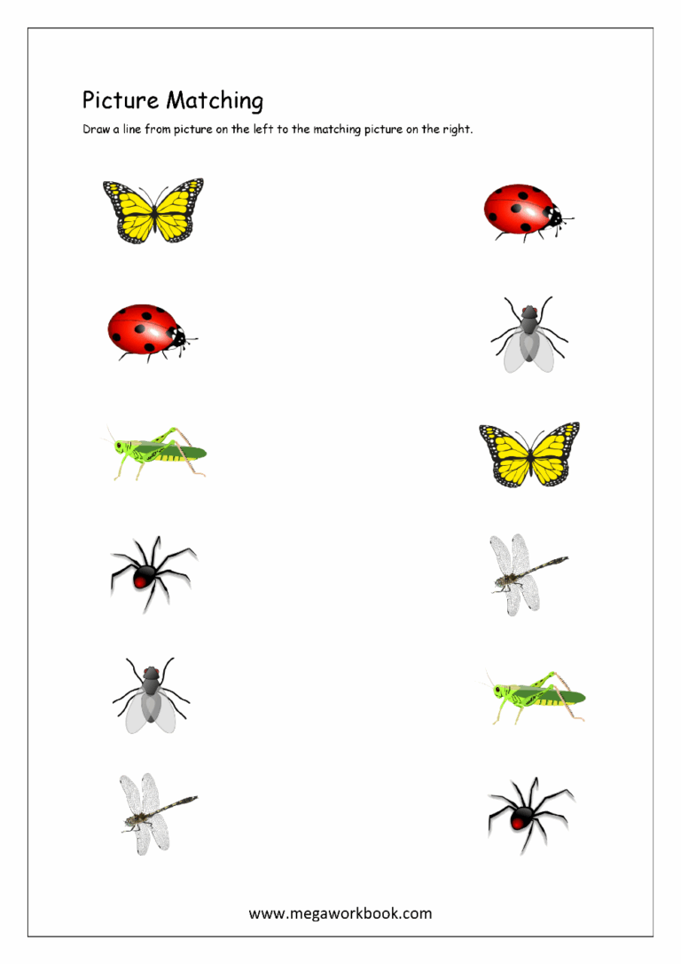 Picture Matching Worksheets For Preschool Free Logical Thinking 