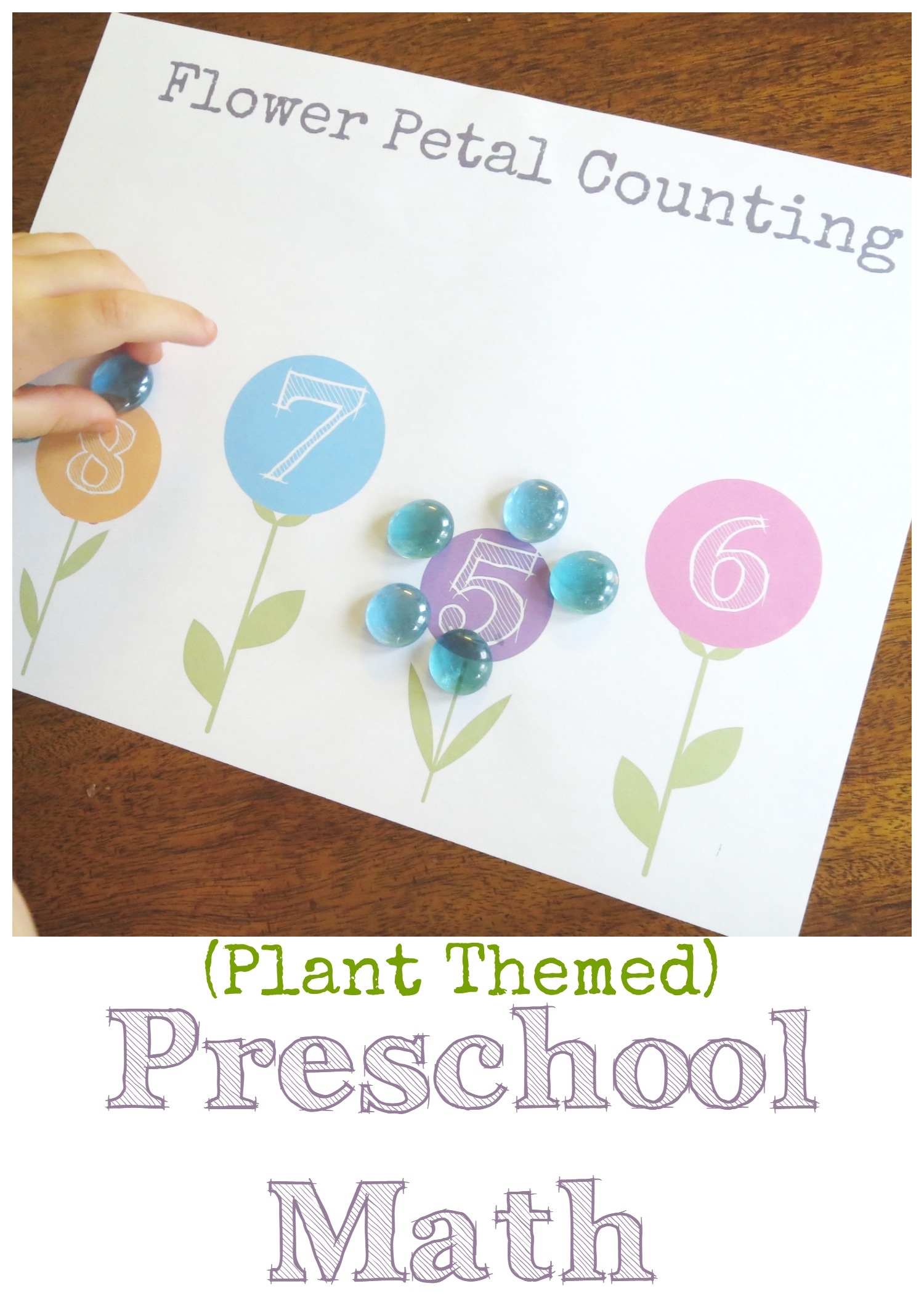 Plant Theme Preschool Math Flower Petal Counting Free Printable 