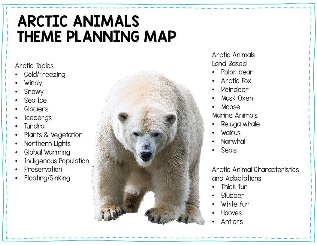 Printable Preschool Artic Animals