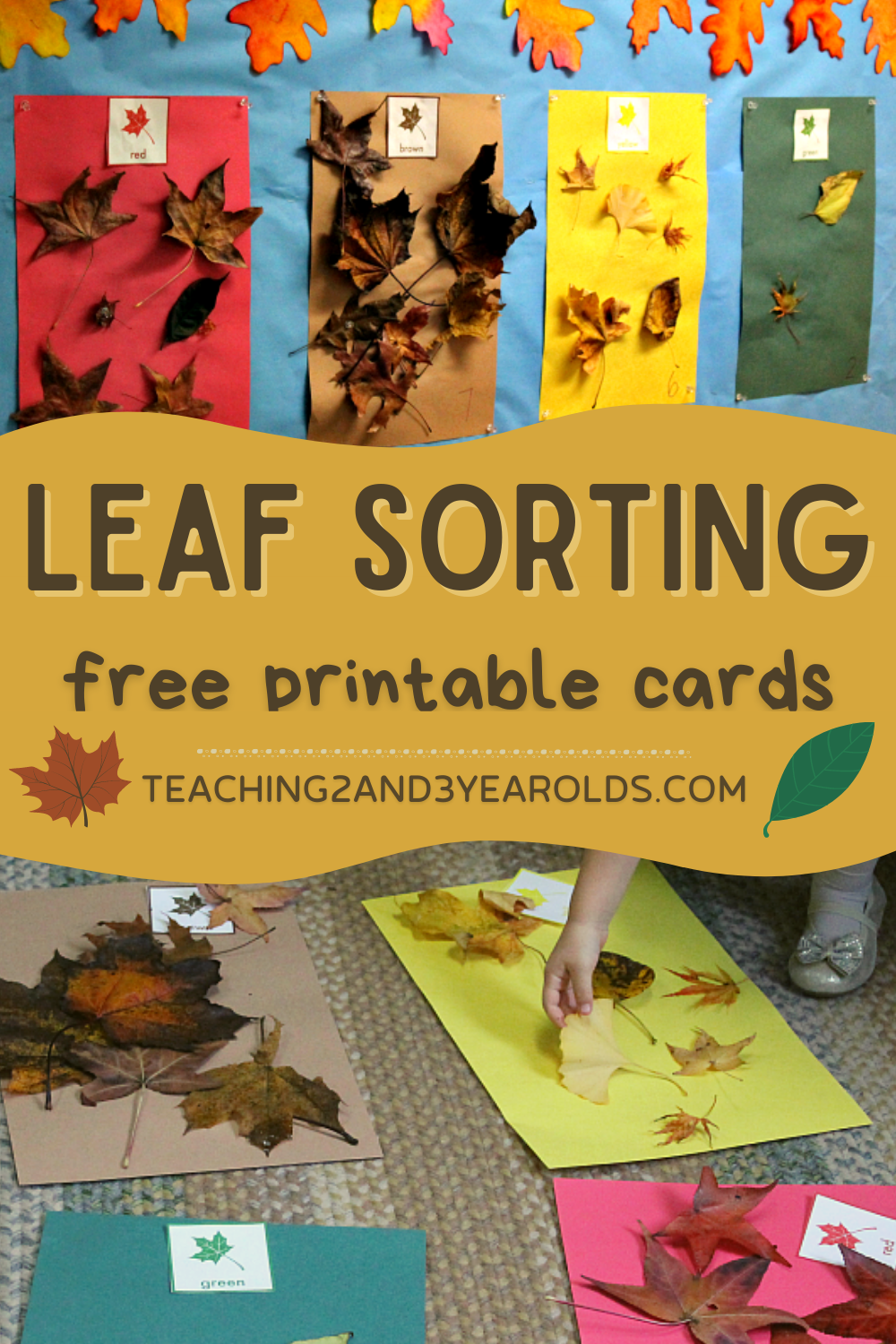 Printable Sorting Activities For Preschoolers