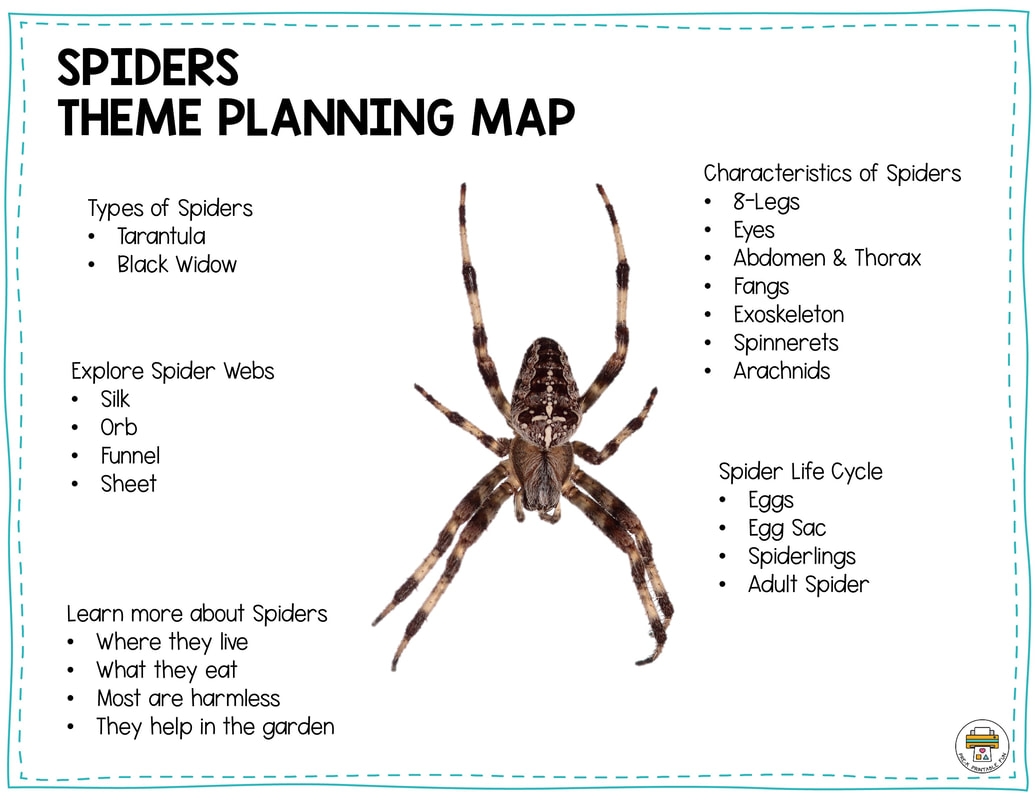 Preschool Spider Theme Pre K Printable Fun