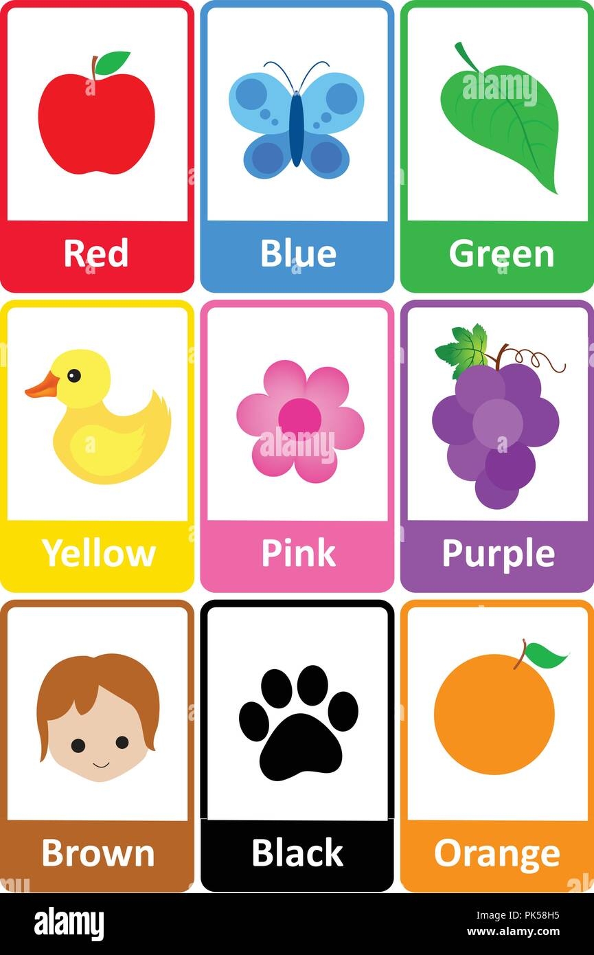Printable Flash Card Colletion For Colors And Their Names With Colorful Pictures For Preschool Kindergarten Kids Let s Learn Colors Stock Vector Image U0026 Art Alamy