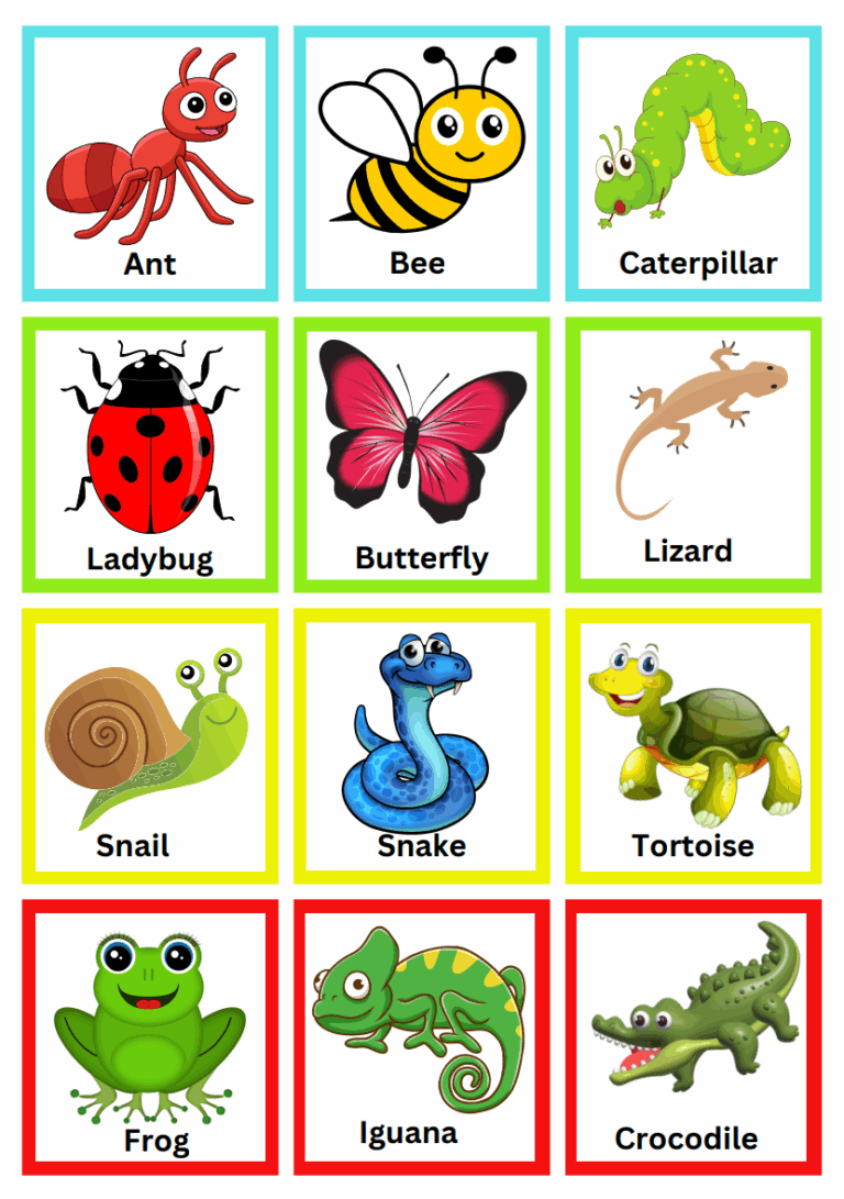 Printable FlashCard Insects Tinyartisianspace