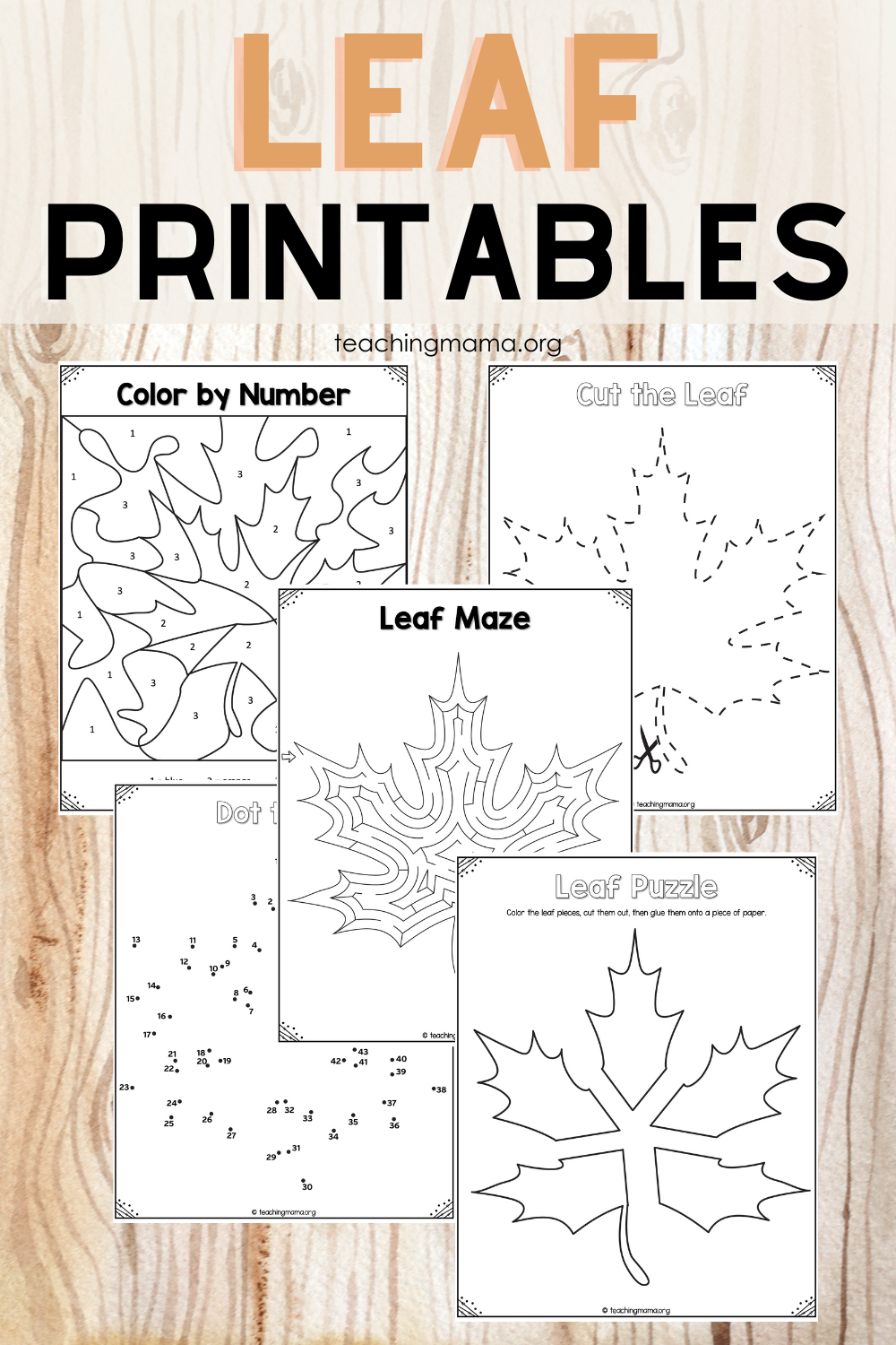 Printable Preschool Leaf Activities