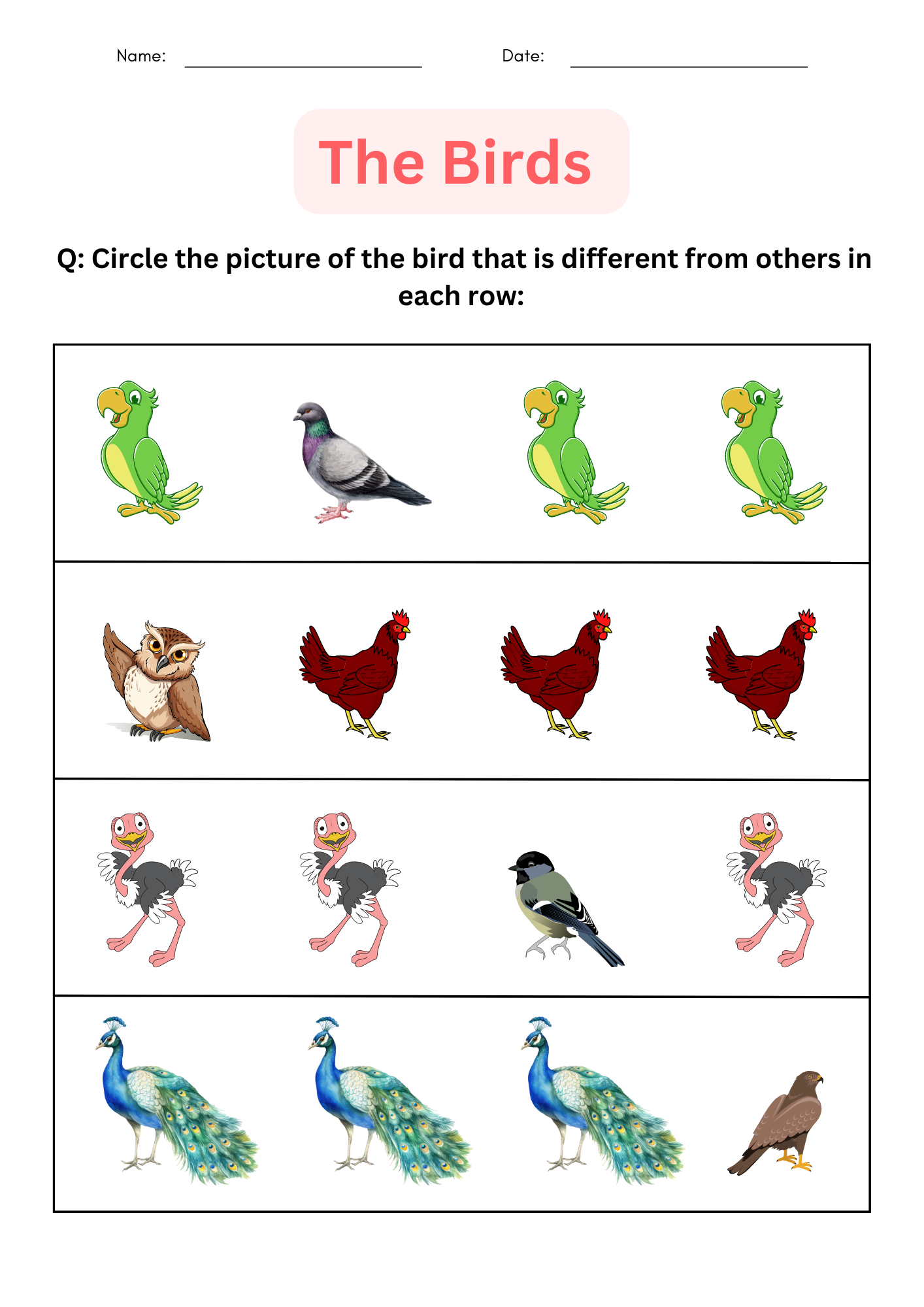 Free Printable Bird Worksheets For Preschoolers