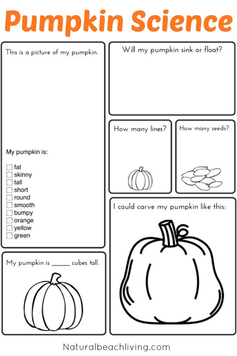 Pumpkin Activities For Kids Pumpkin Lesson Plans STEM Natural Beach Living