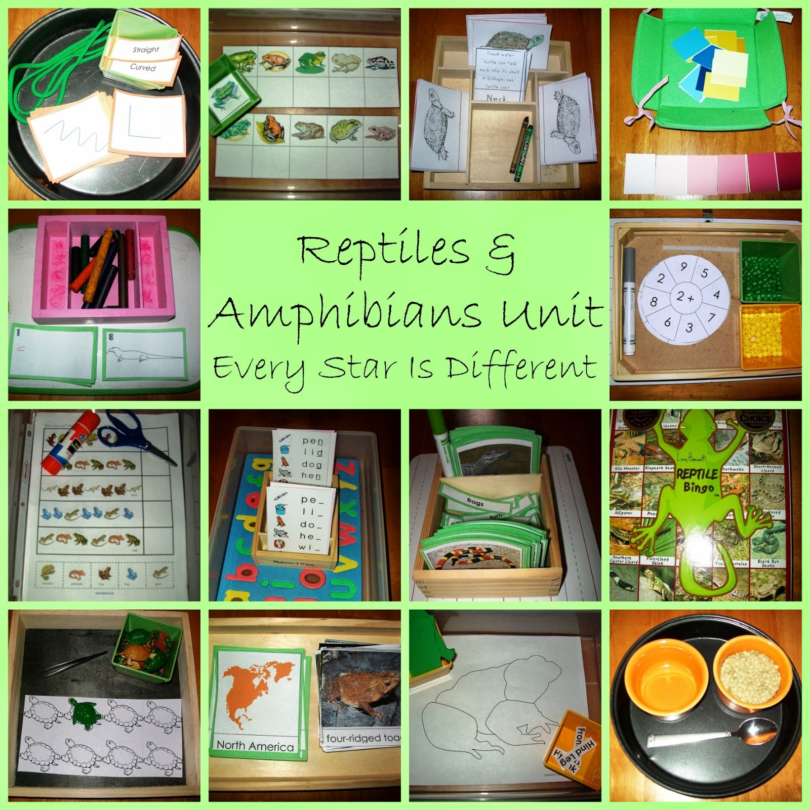 Reptiles U0026 Amphibians Unit With FREE Printables Every Star Is Different