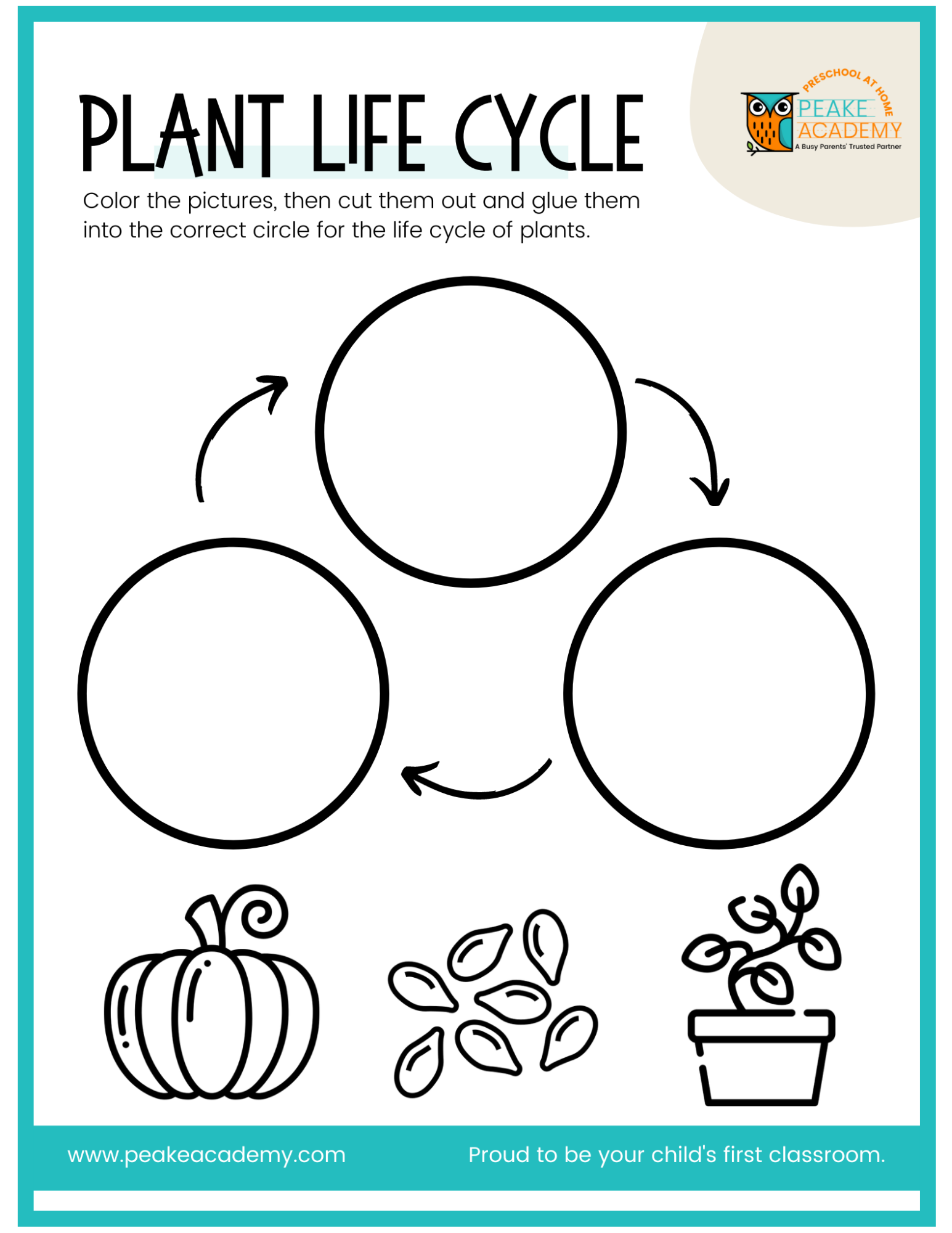 Seed Planting With Preschoolers A Fun Way To Learn About The Life Cycle The Parent Advisor Blog Peake Academy