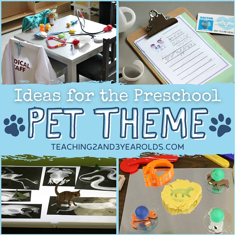 Setting Up The Toddler And Preschool Pet Theme