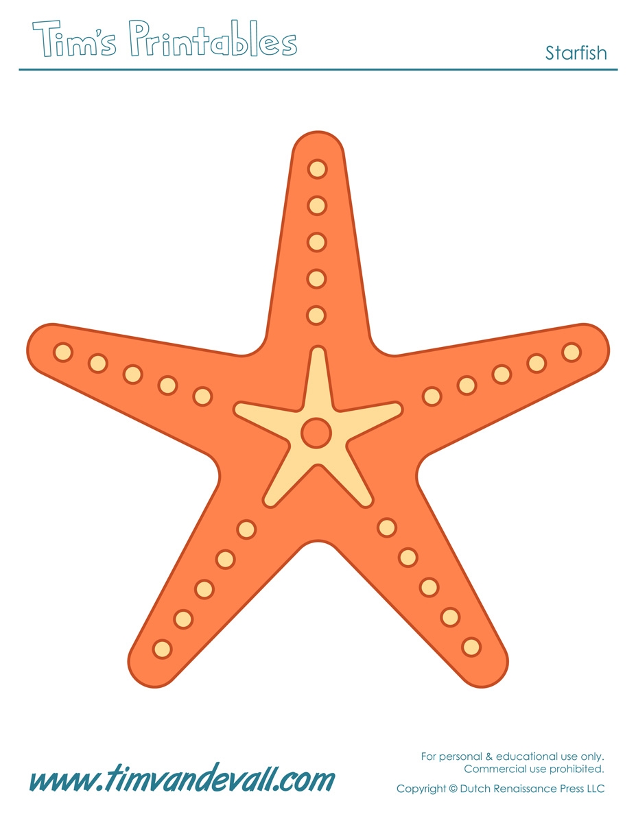 Starfish Template Sea Star Templates For Preschool Art Worksheets Library