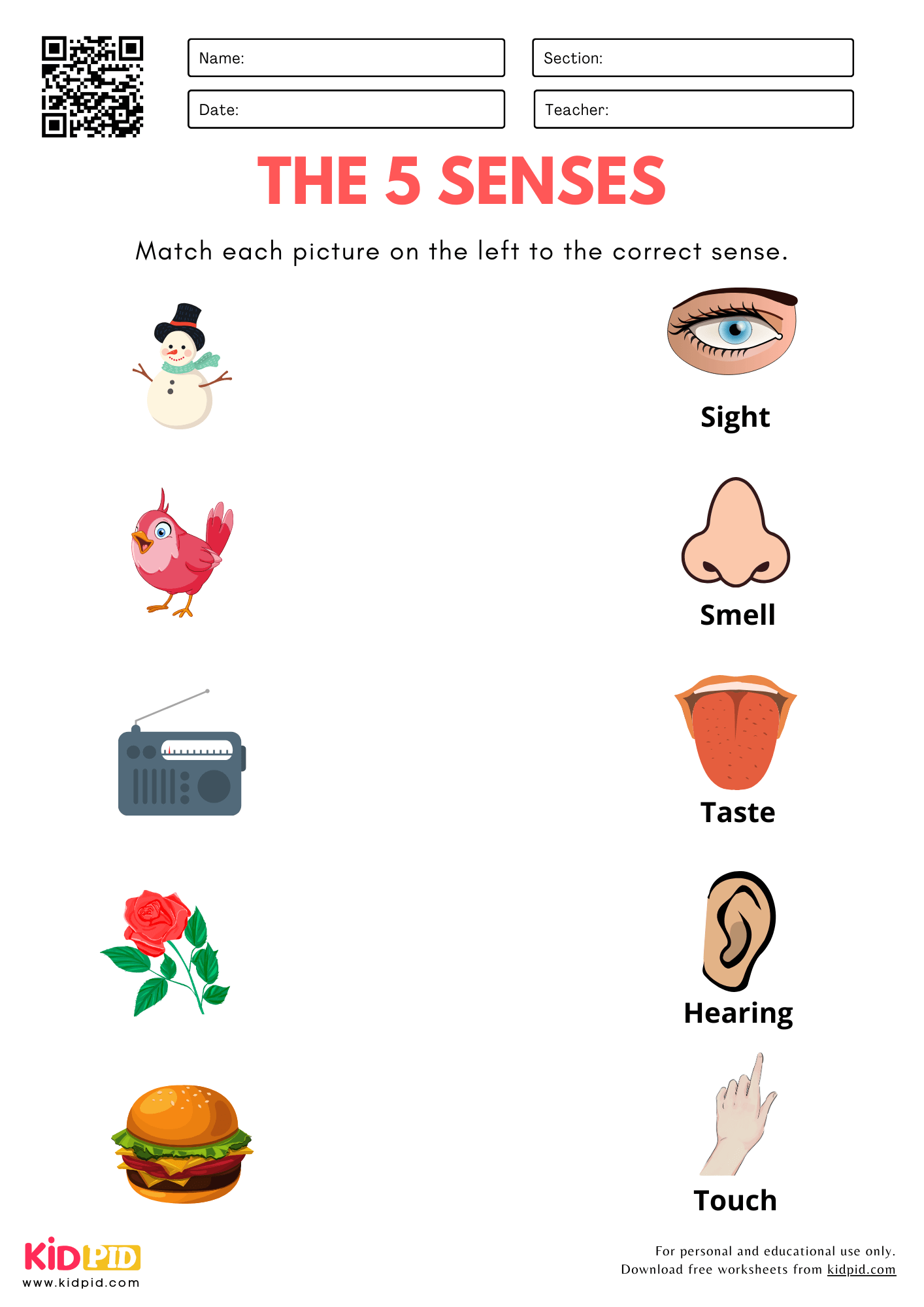 The 5 Senses Uses Worksheet For Kindergarten Kidpid