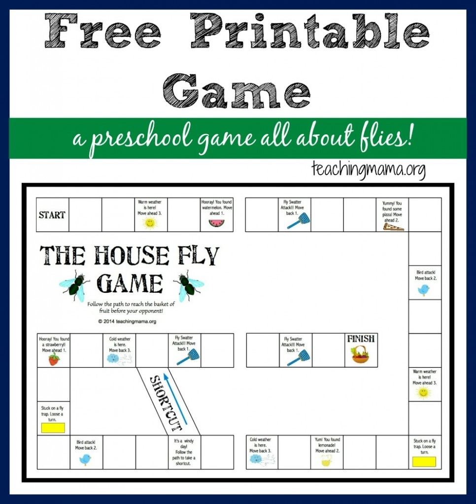 The House Fly Game