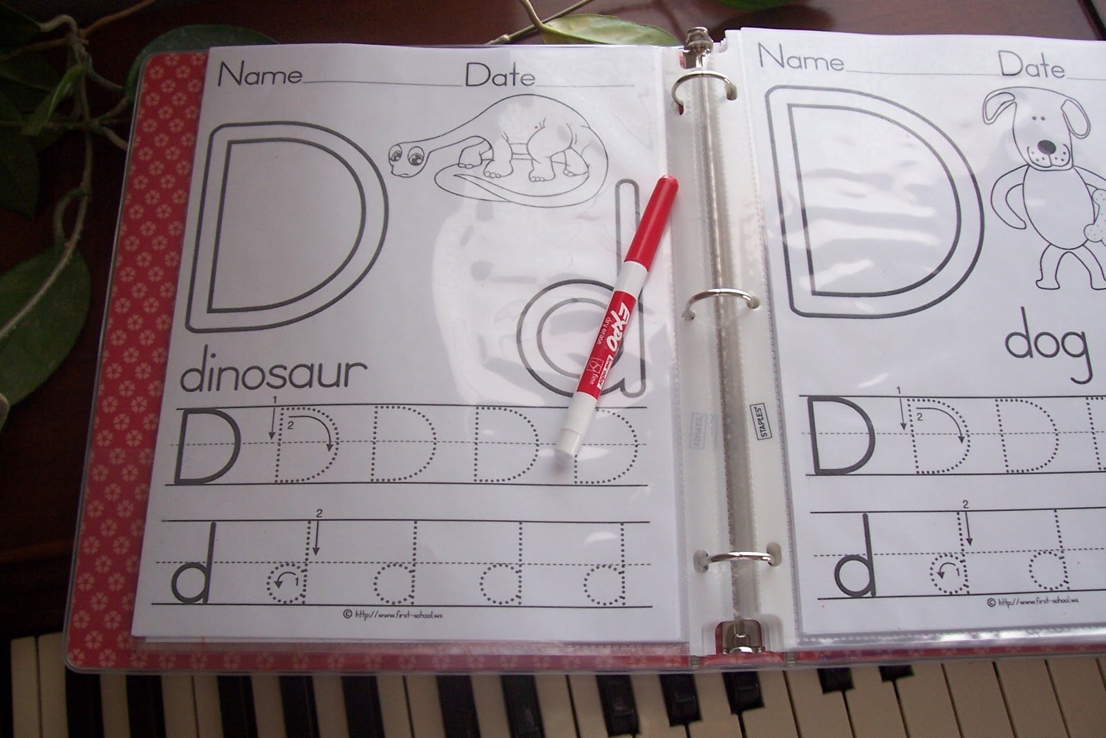 DIY Write and Wipe Preschool Worksheets (she: Chelsea) - Or so she says...